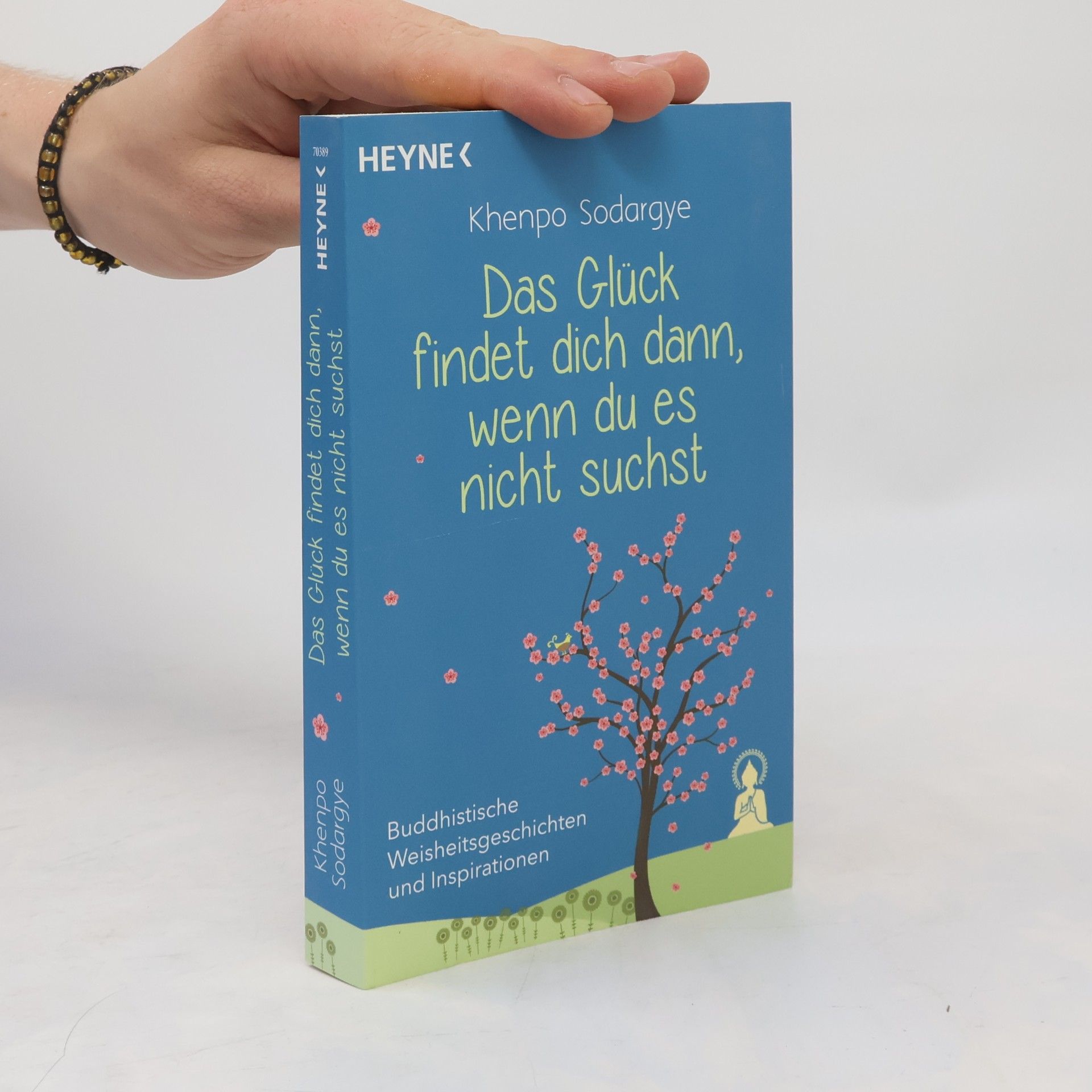 Khenpo Sodargye Das Glück findet dich dann, wenn du es nicht suchst