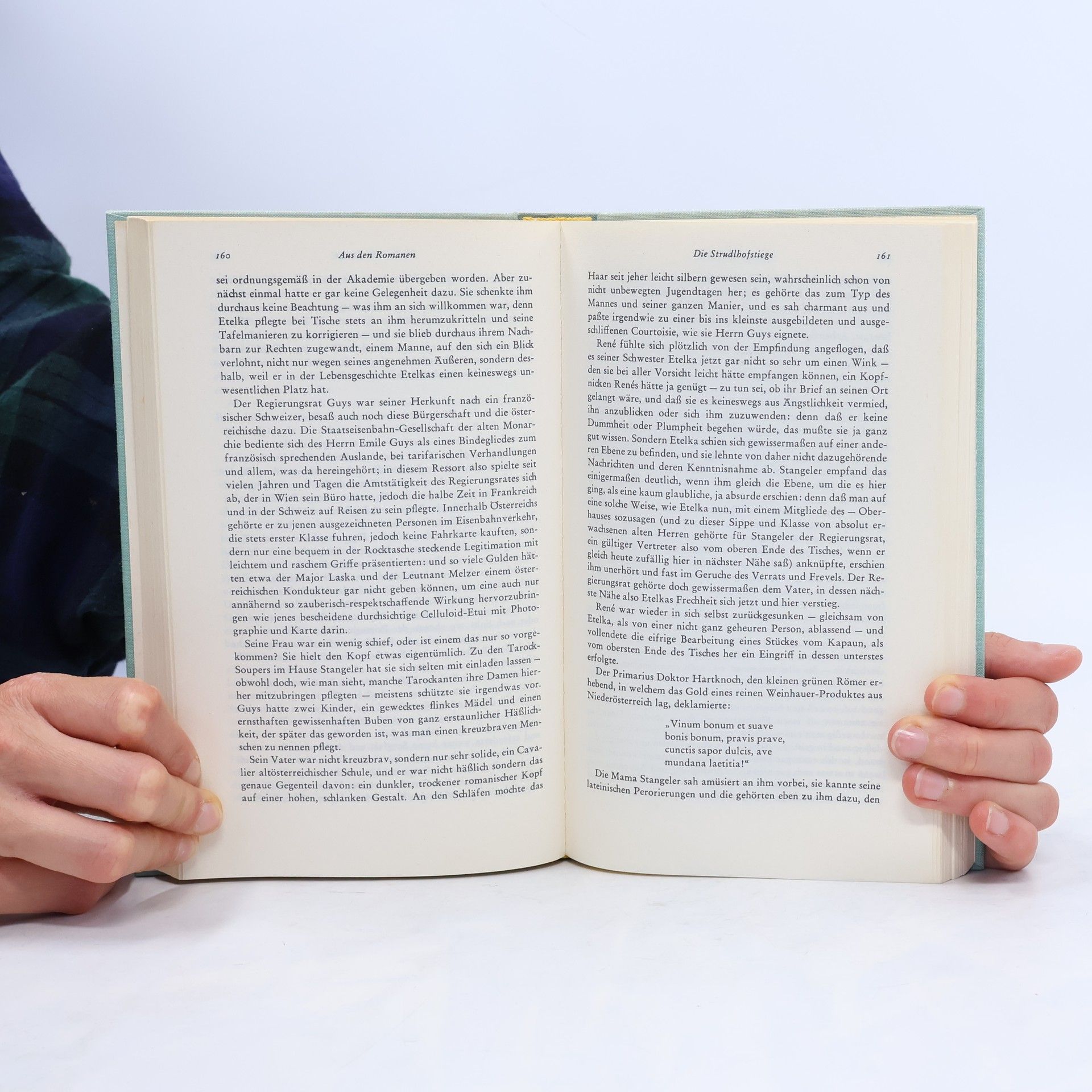 Heimito von Doderer Das Doderer-buch