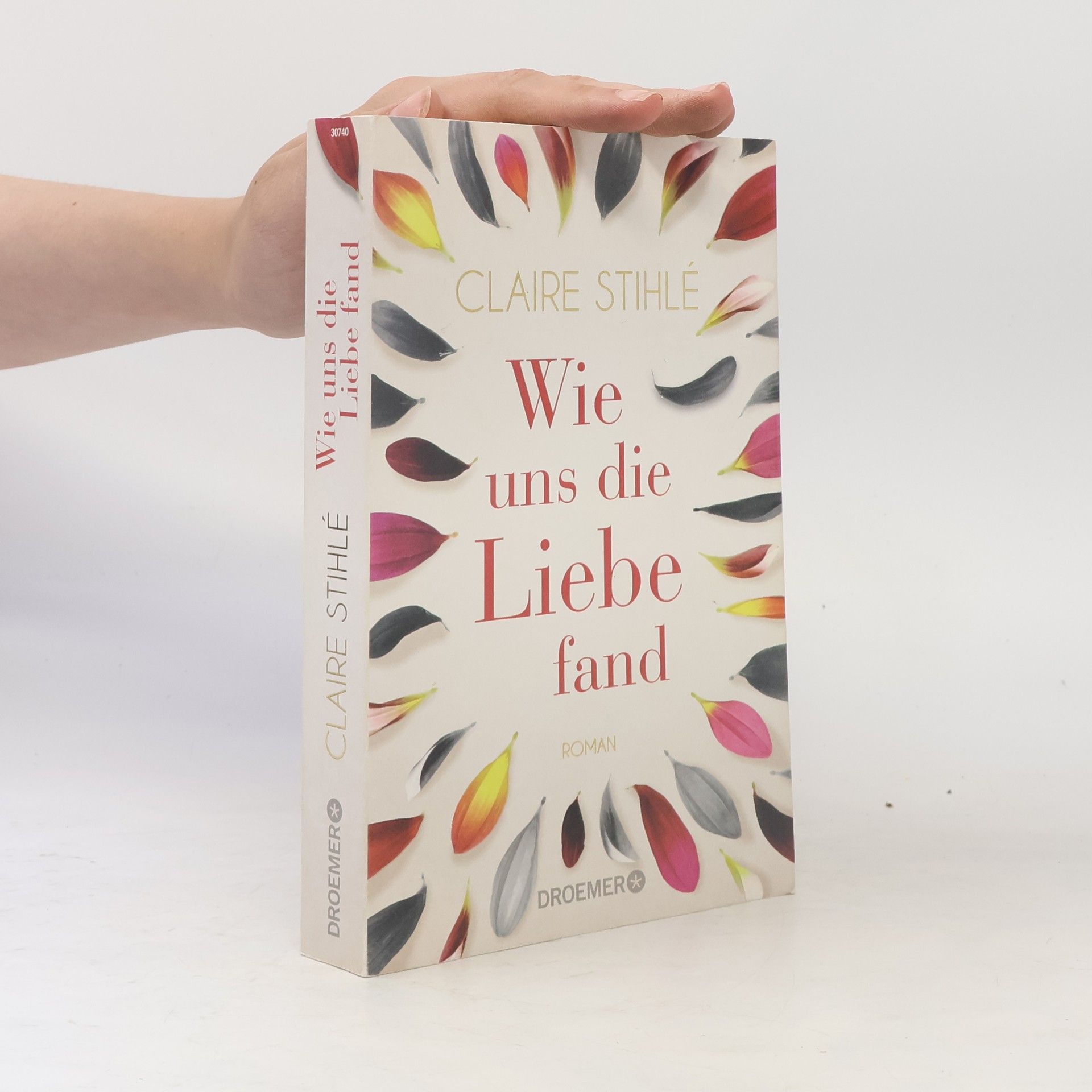 Claire Stihlé Wie uns die Liebe fand