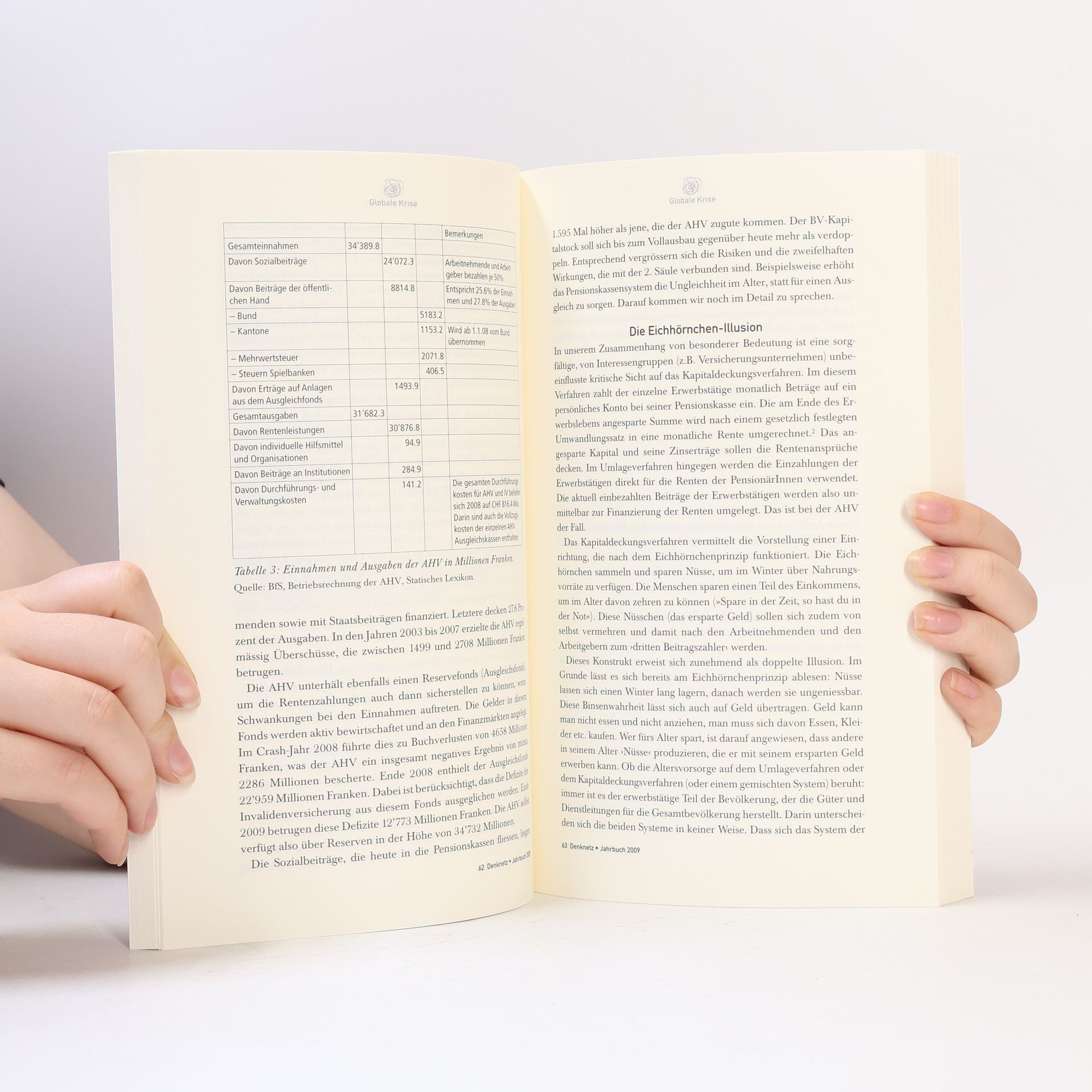 Vania Alleva Denk Netz Jahrbuch Cahier - 2009: Krise global, lokal, fundamental / Crise - globale, locale, fondamentale