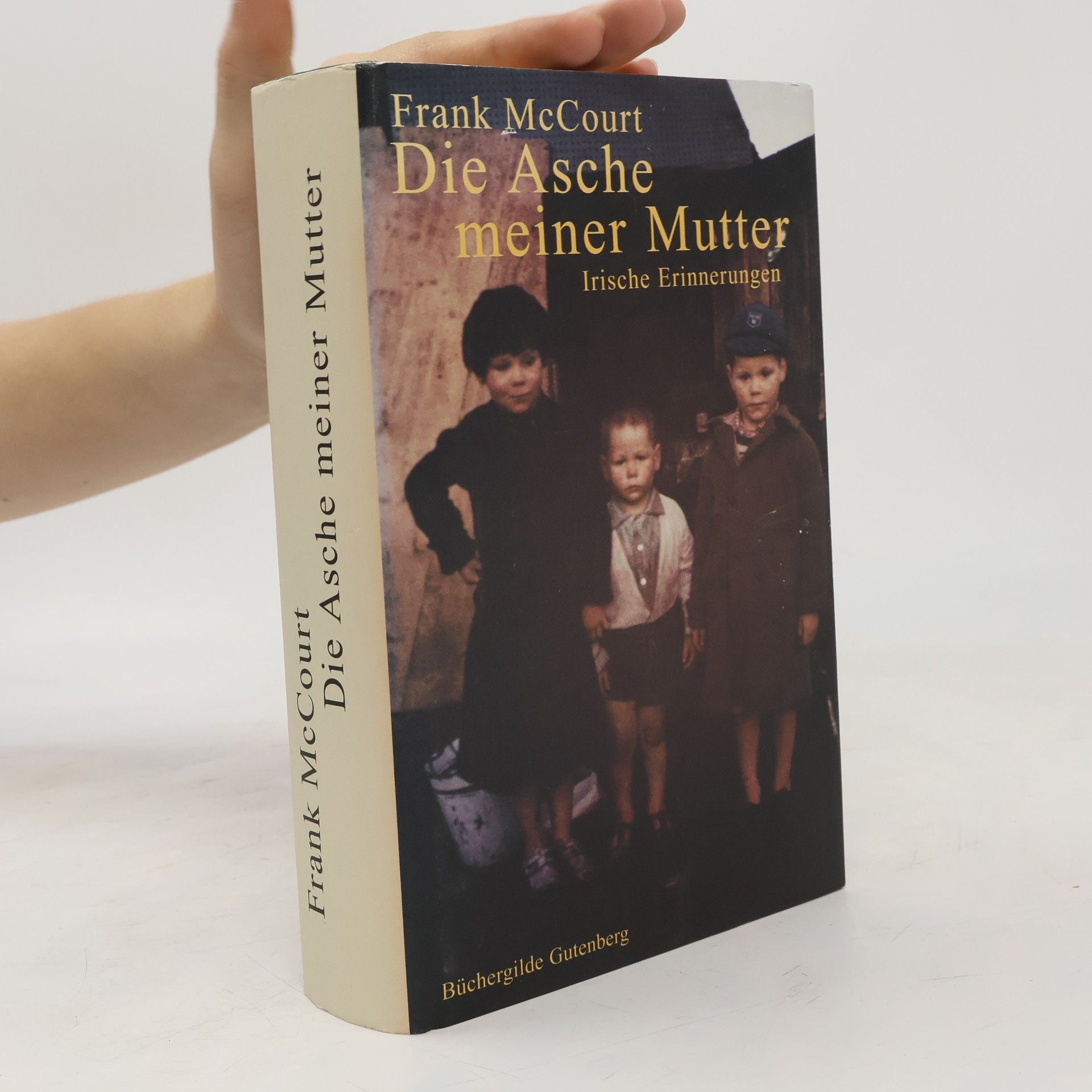 Frank McCourt Die Asche meiner Mutter
