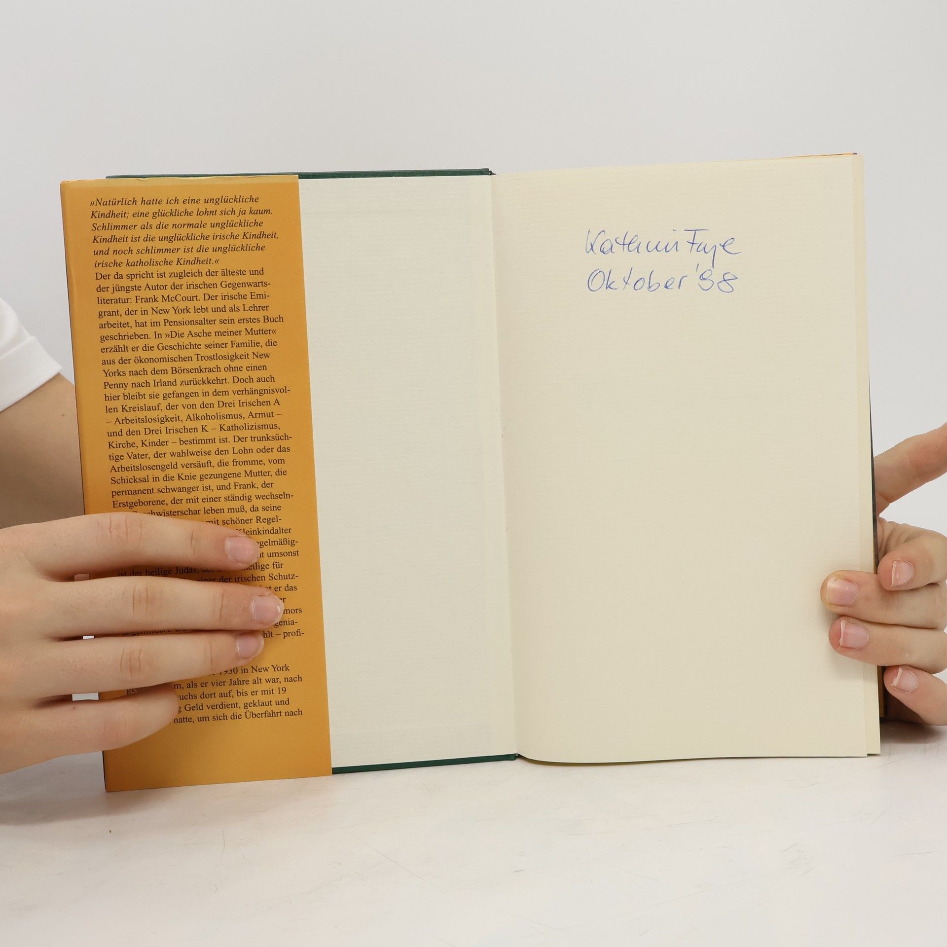 Frank McCourt Die Asche meiner Mutter