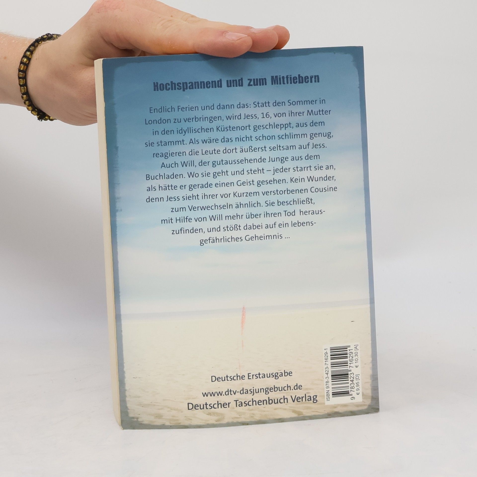 Jane Casey Sommer am Abgrund