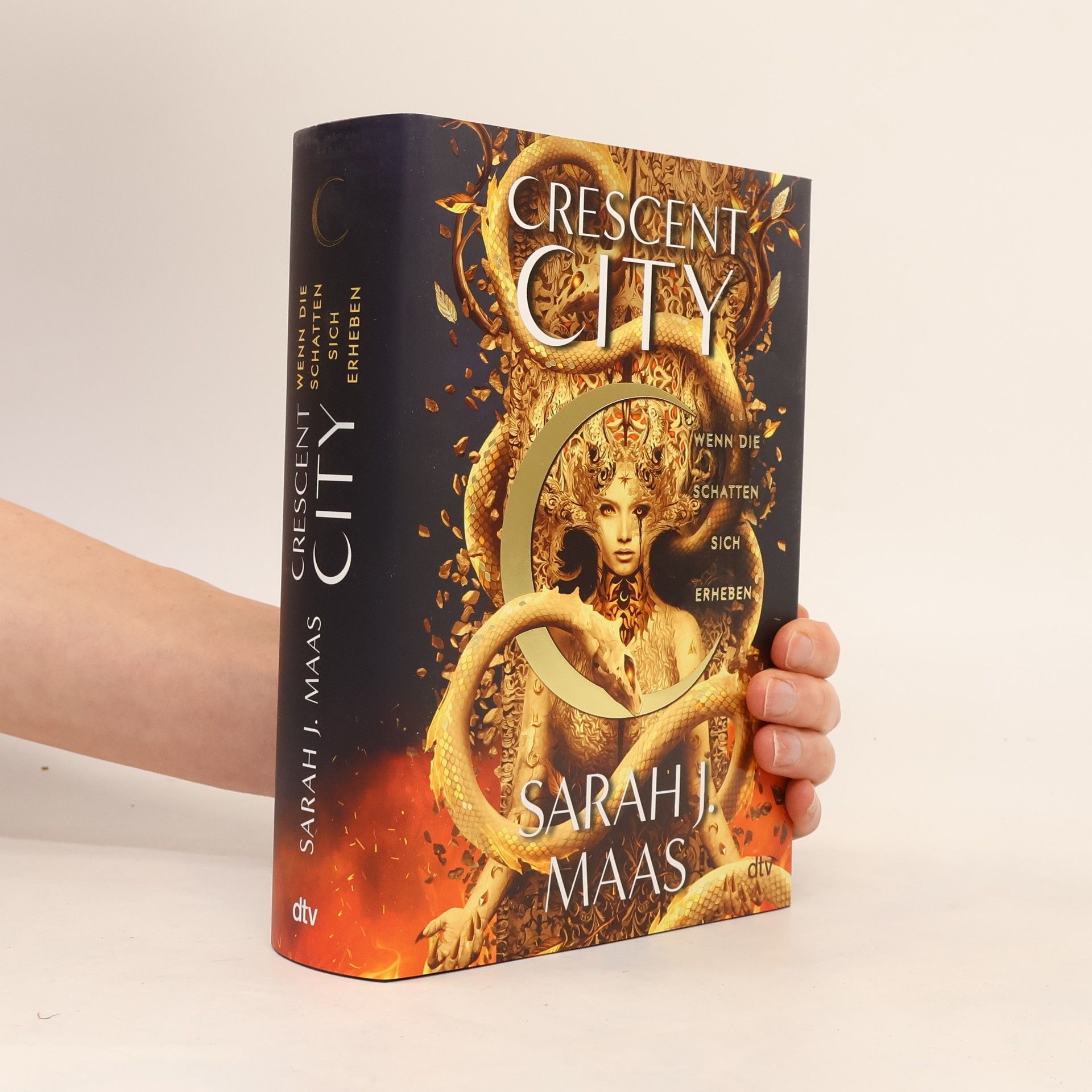 Crescent City – Wenn die Schatten sich erheben
