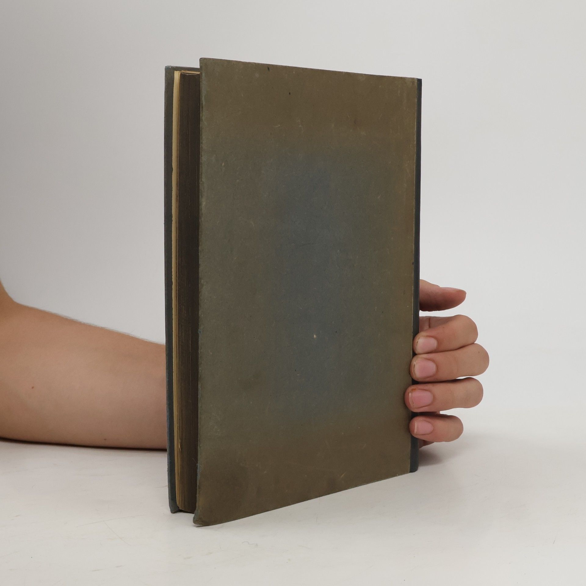 Georg Grimm Die Lehre des Buddha