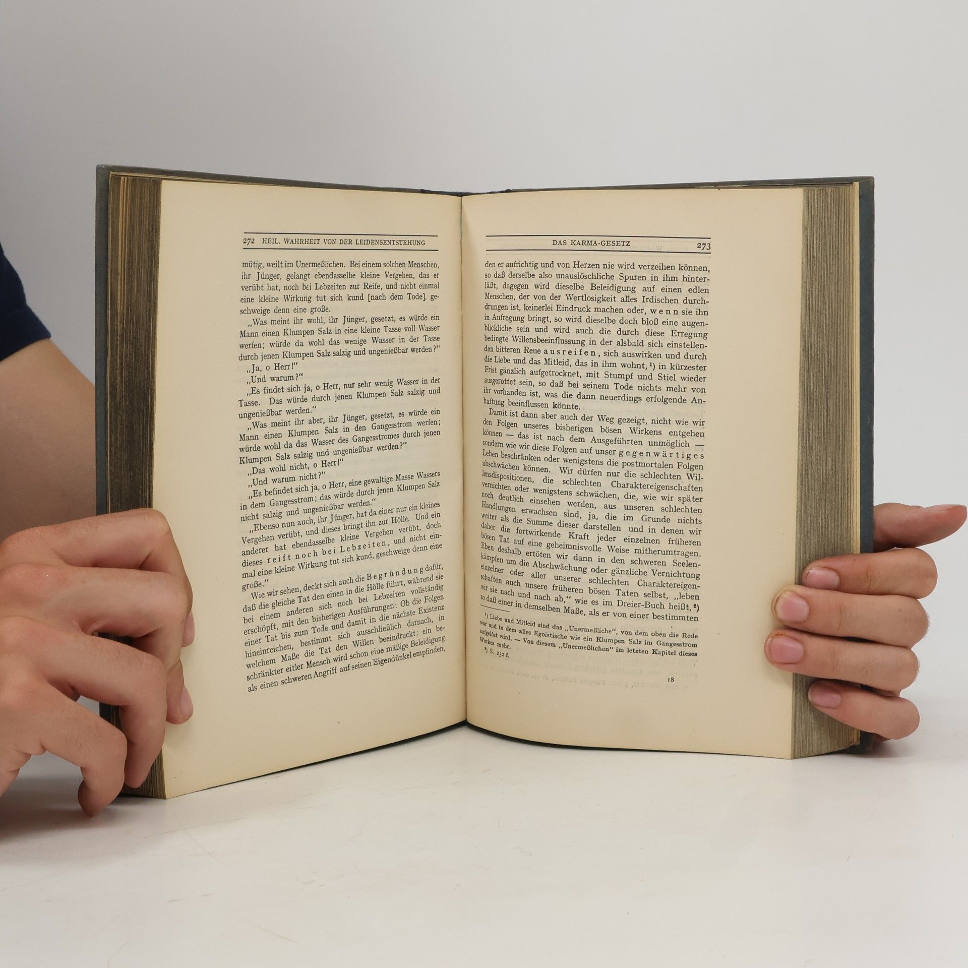 Georg Grimm Die Lehre des Buddha