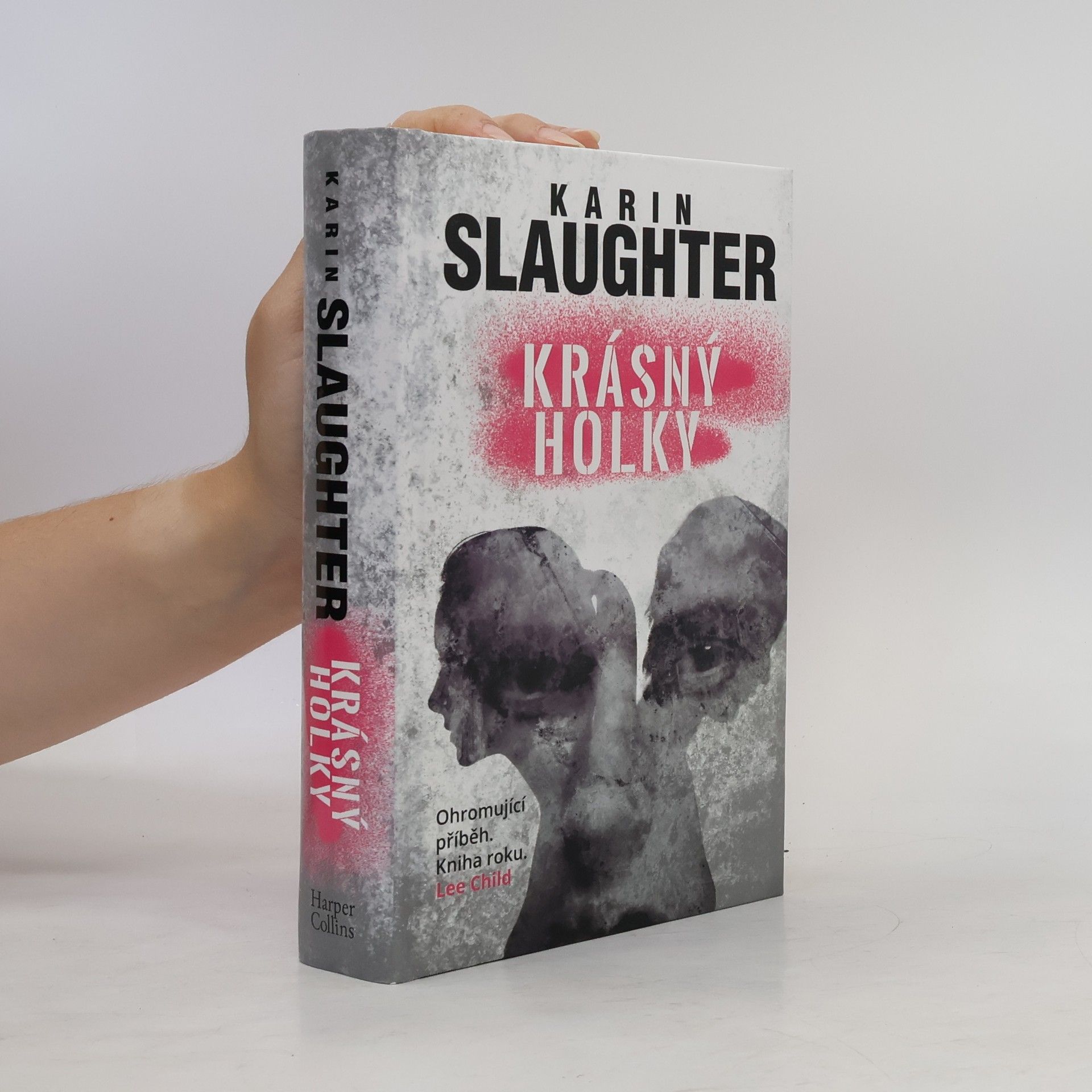 Karin Slaughter Krásný holky