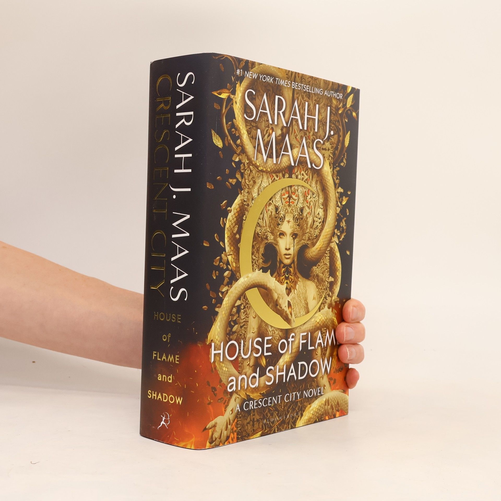House of Flame and Shadow