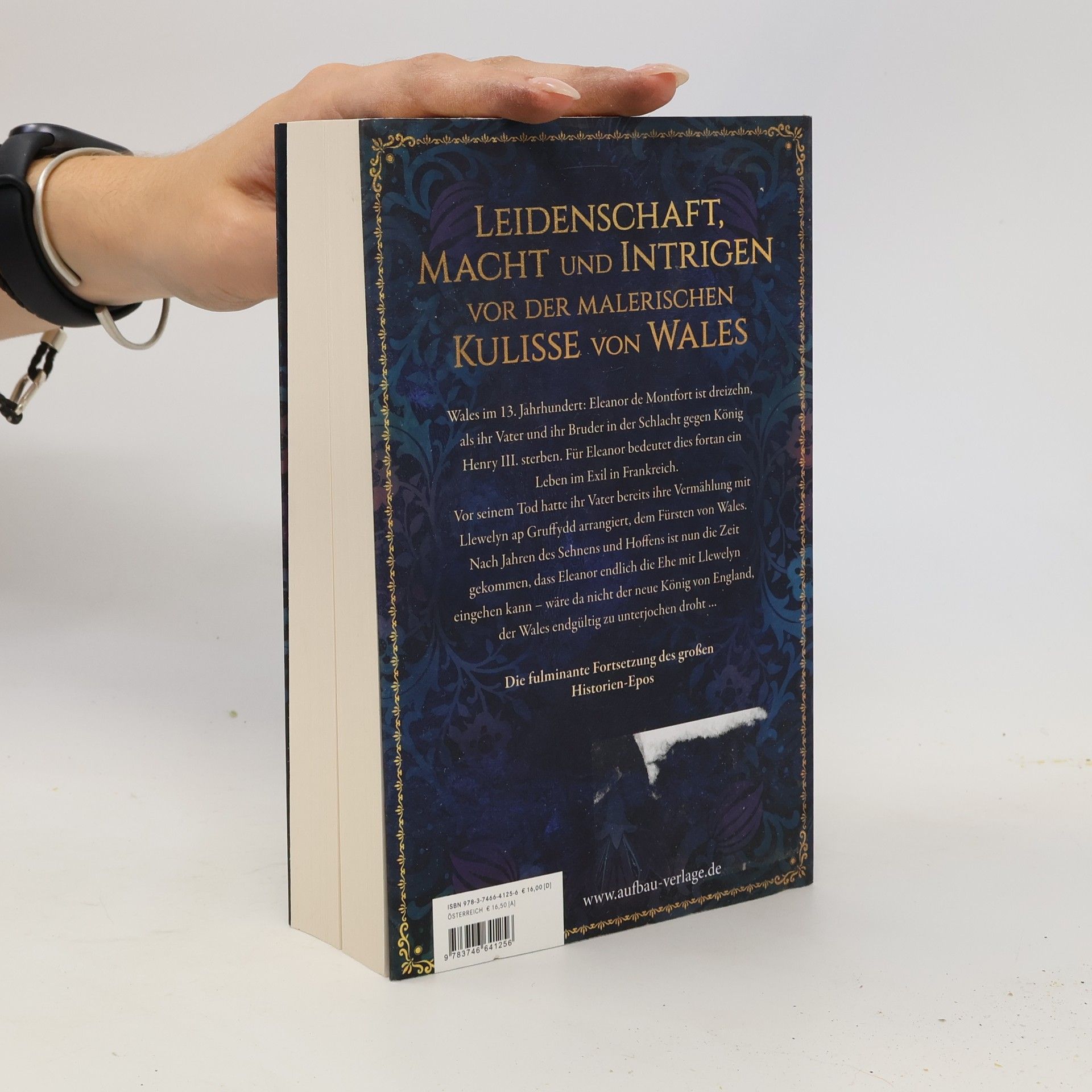 Sabrina Qunaj Die Wales-Saga - 2: Das Erbe der Drachenkrone