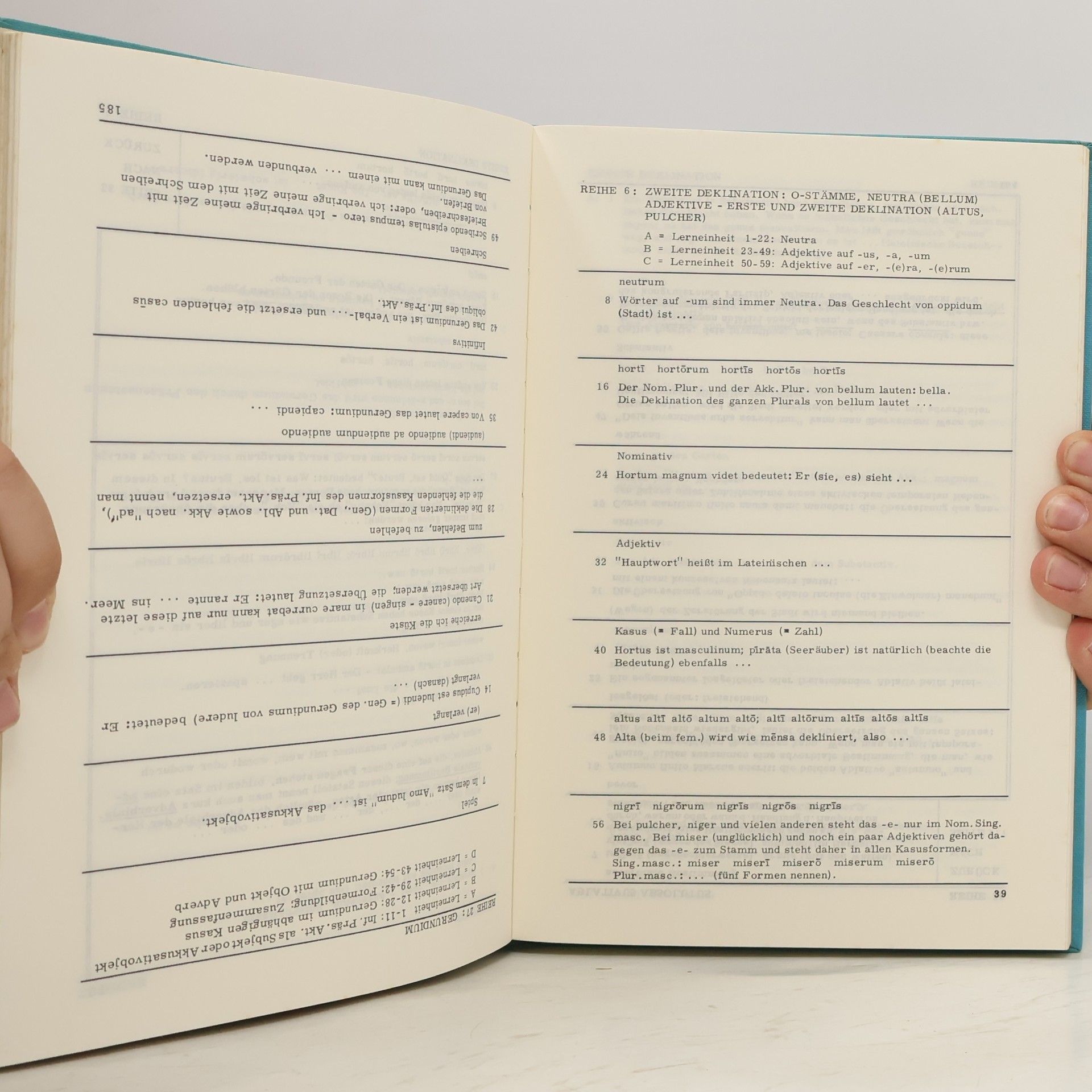 Rogier Eikeboom Programmierte Lateinische Grammatik