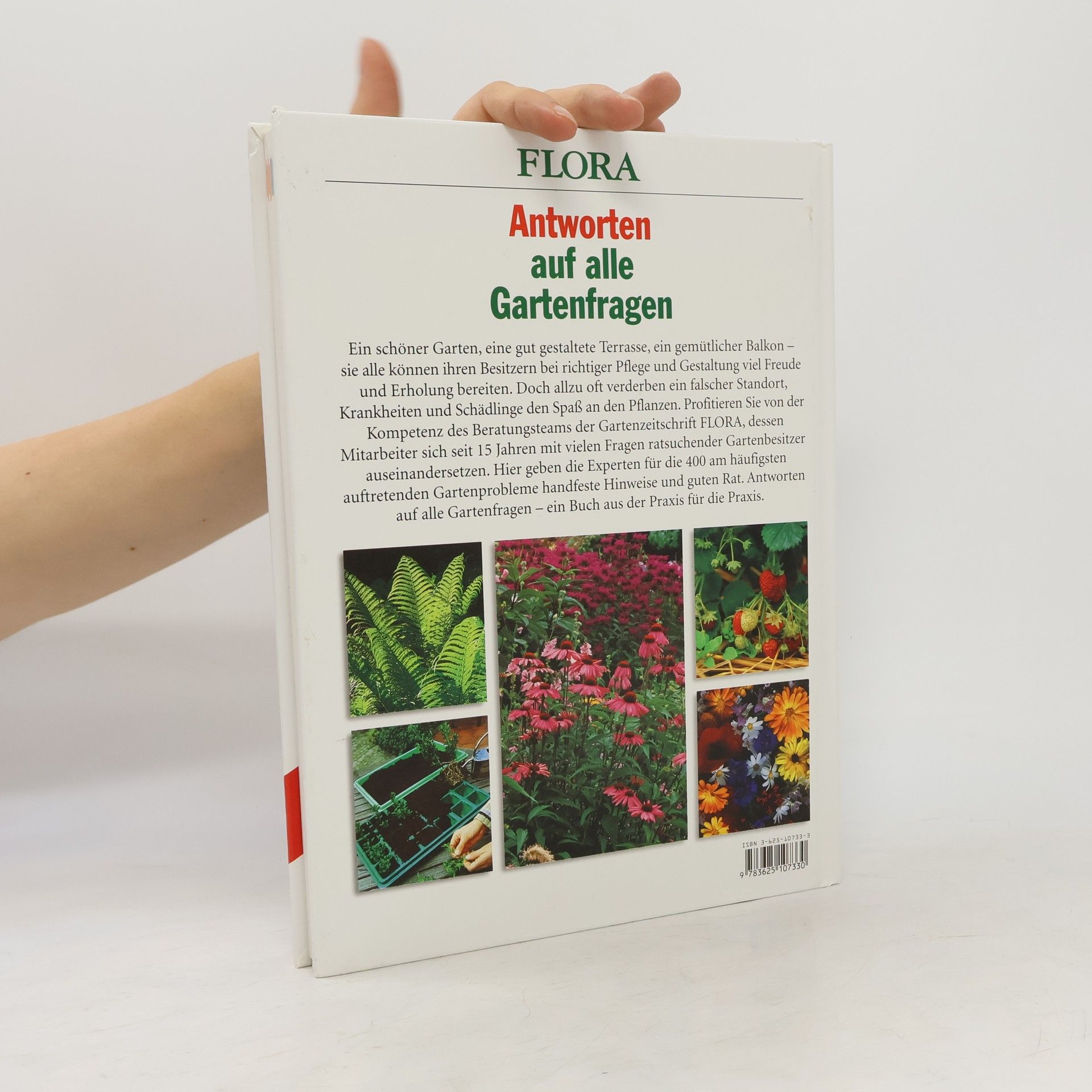 Autorenkollektiv Antworten auf alle Gartenfragen