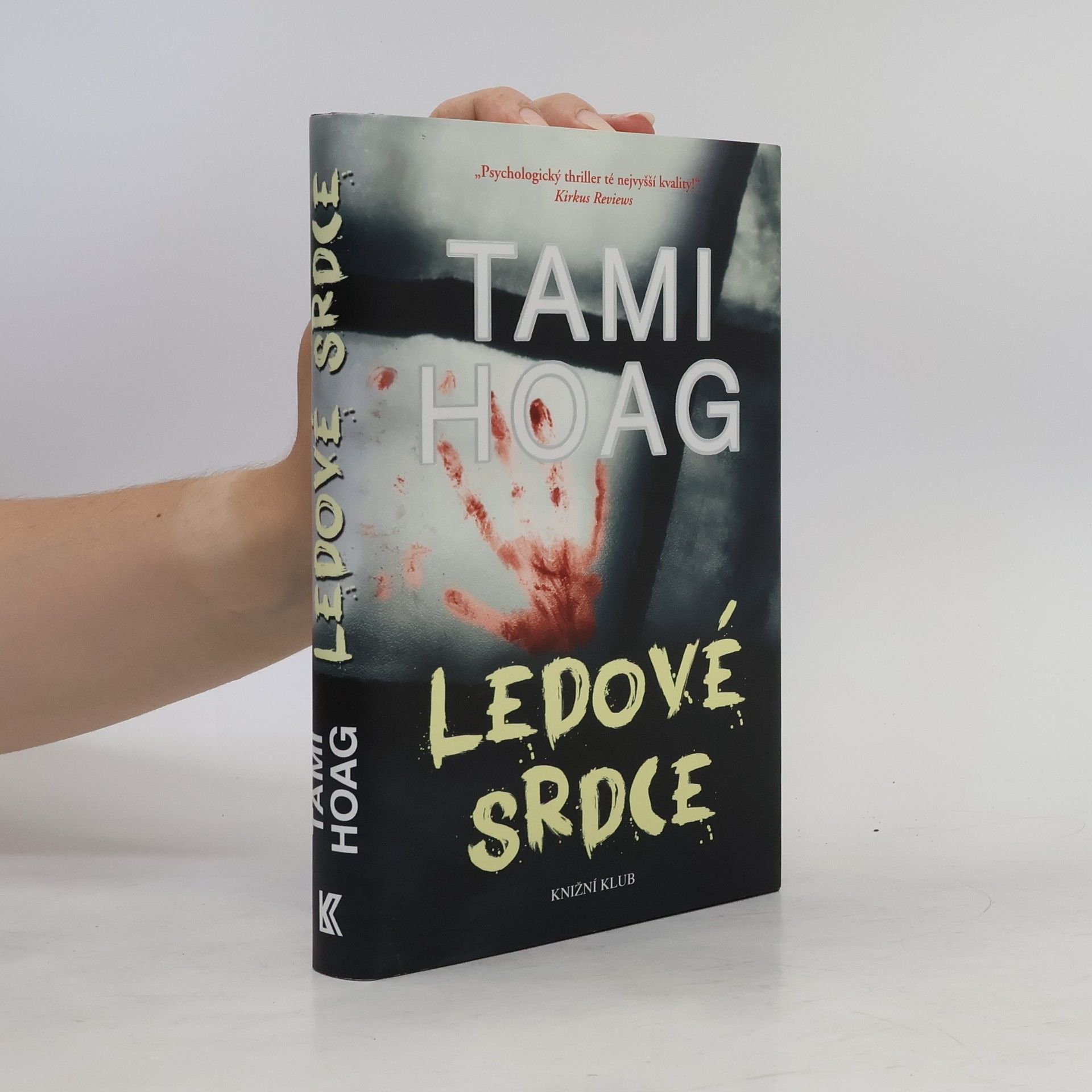 Tami Hoag Ledové srdce