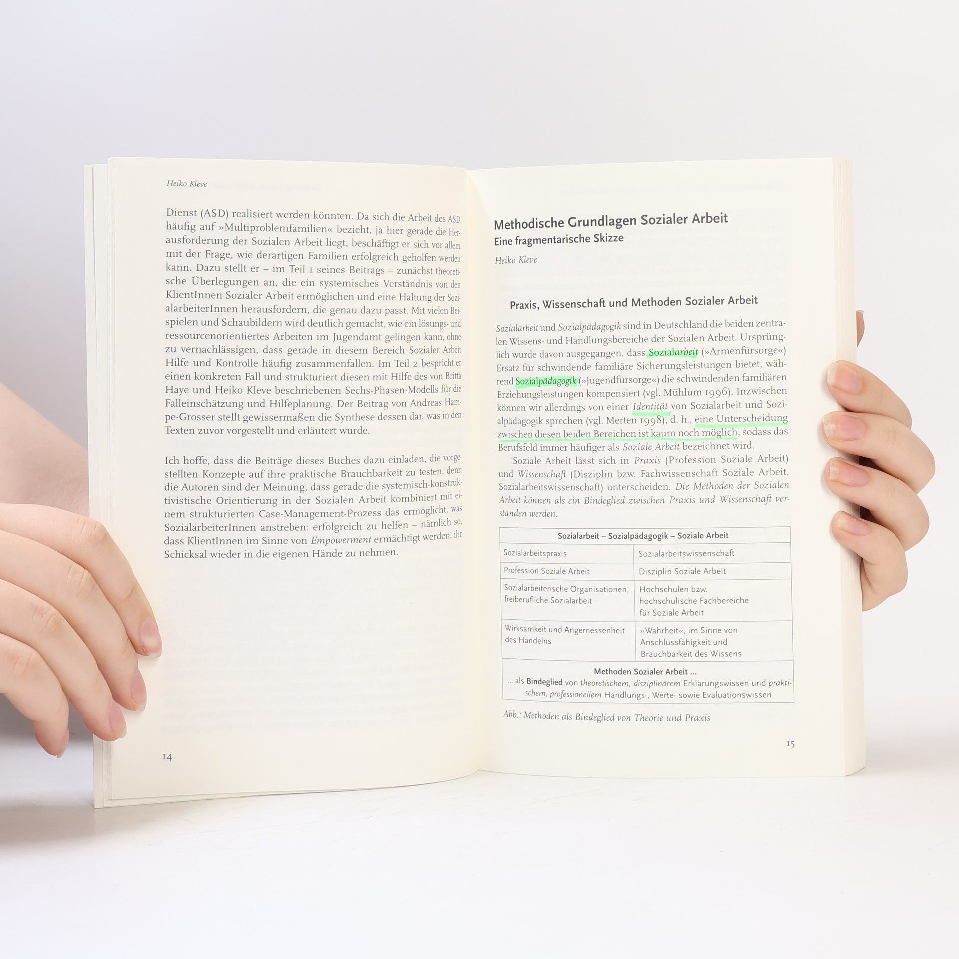 Heiko Kleve Systemisches Case Management