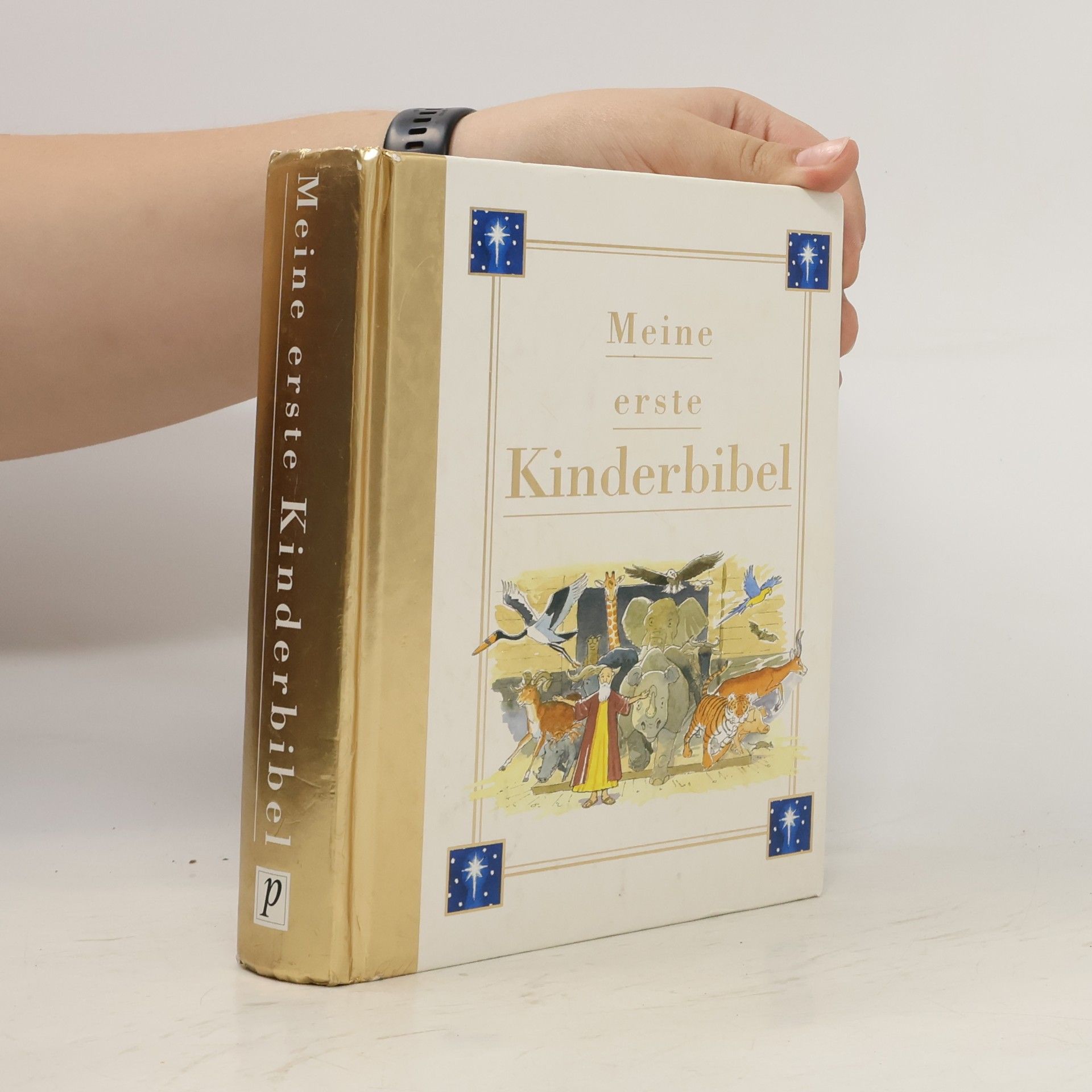 John Dillow Meine erste Kinderbibel