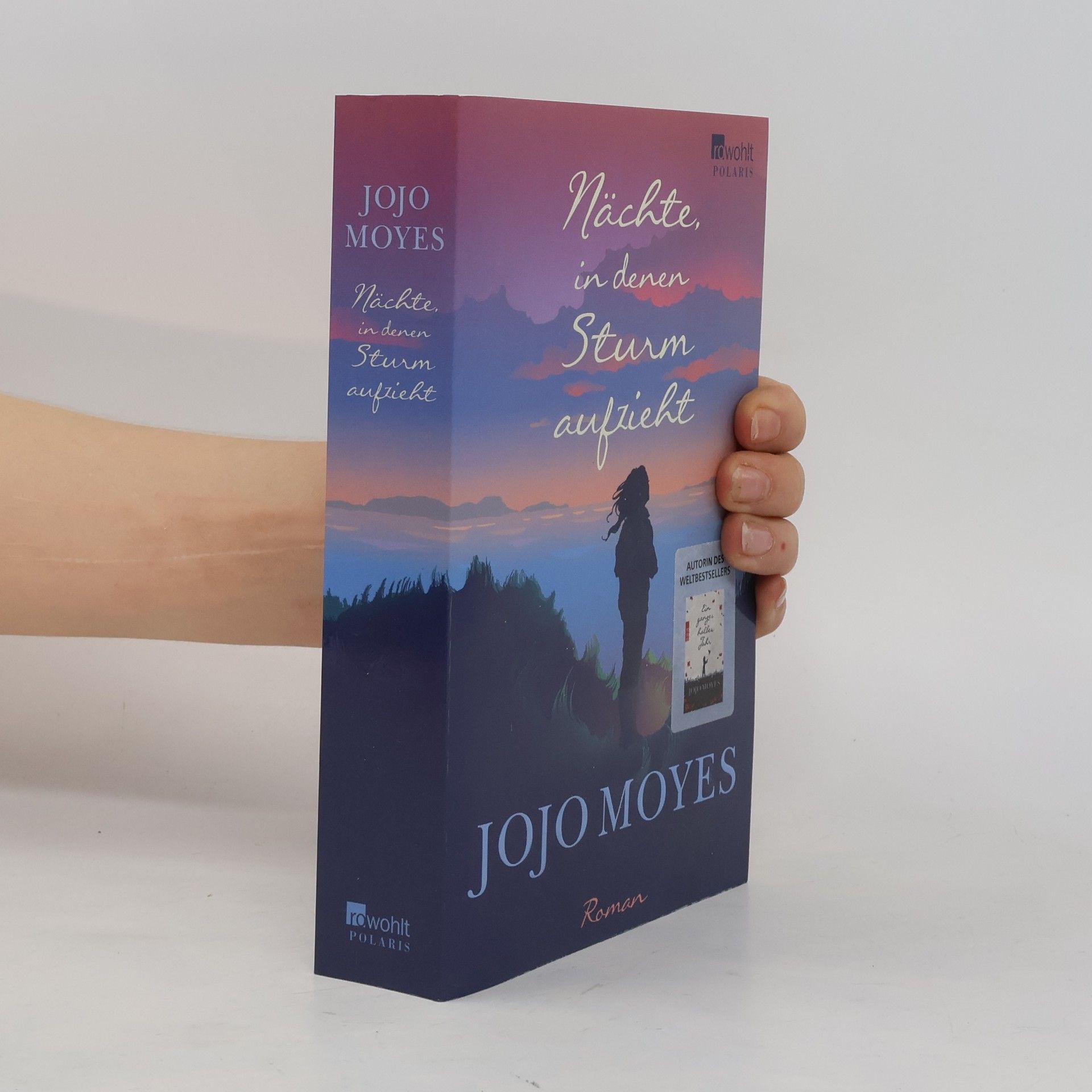Jojo Moyes Nächte in denen Sturm aufzieht