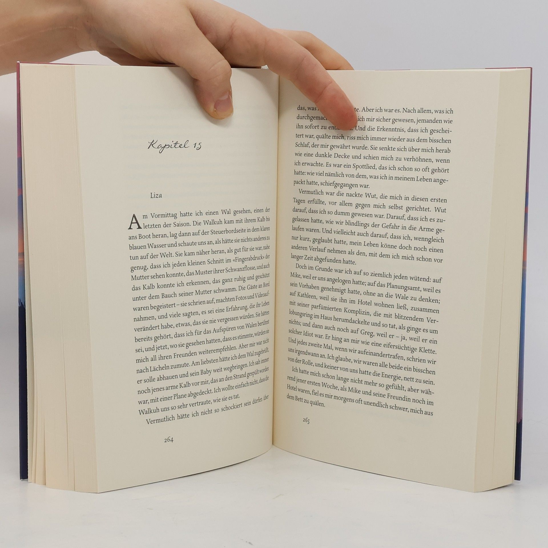 Jojo Moyes Nächte in denen Sturm aufzieht