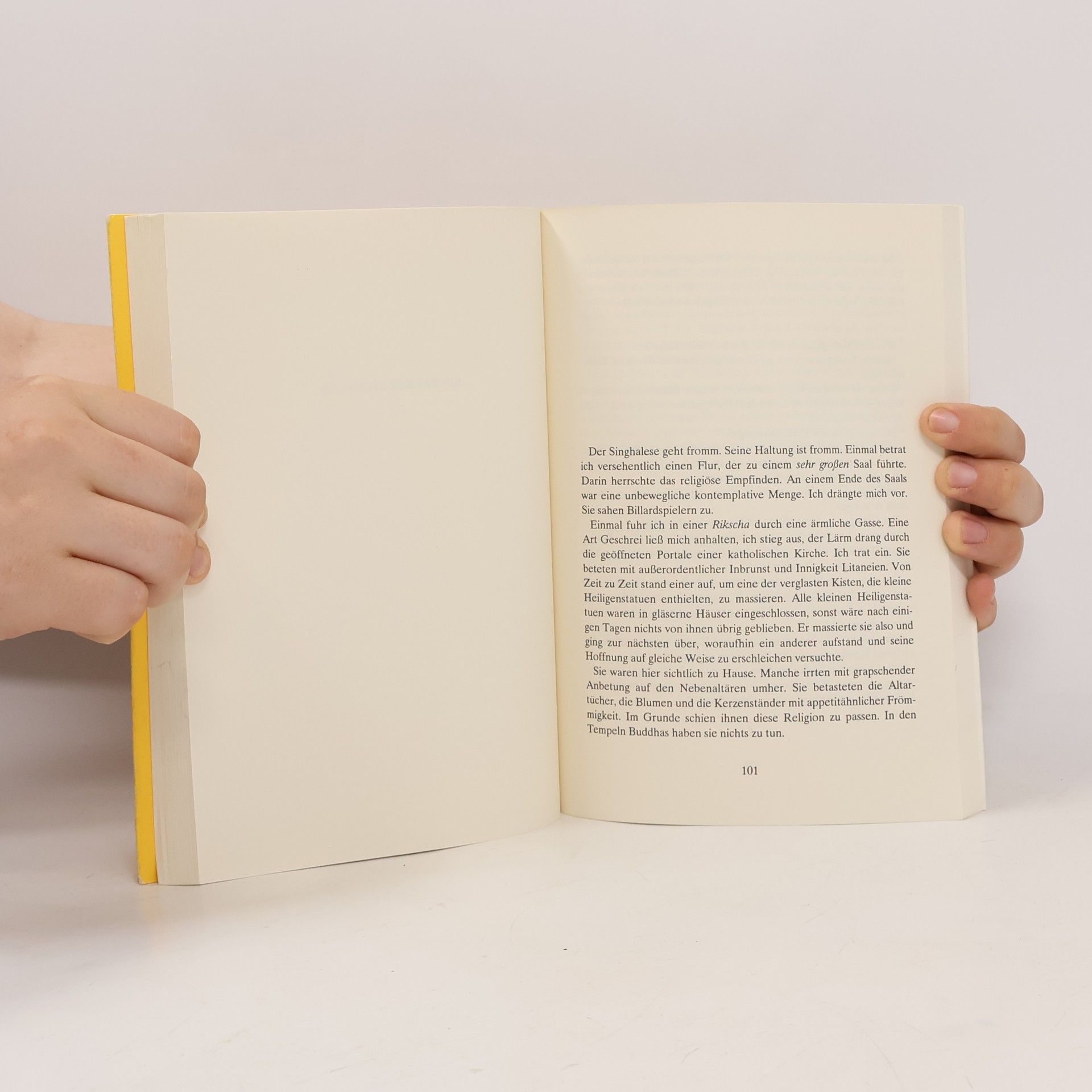 Henri Michaux Ein Barbar in Asien