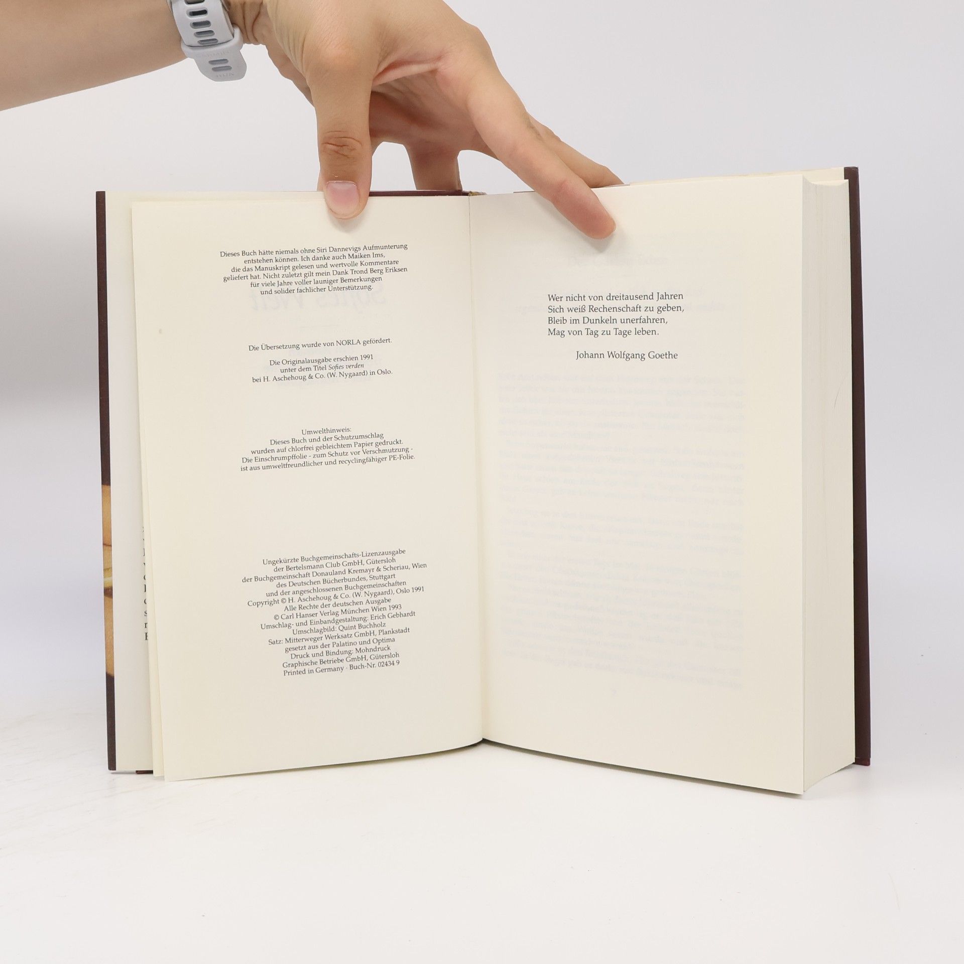 Jostein Gaarder Sofies Welt