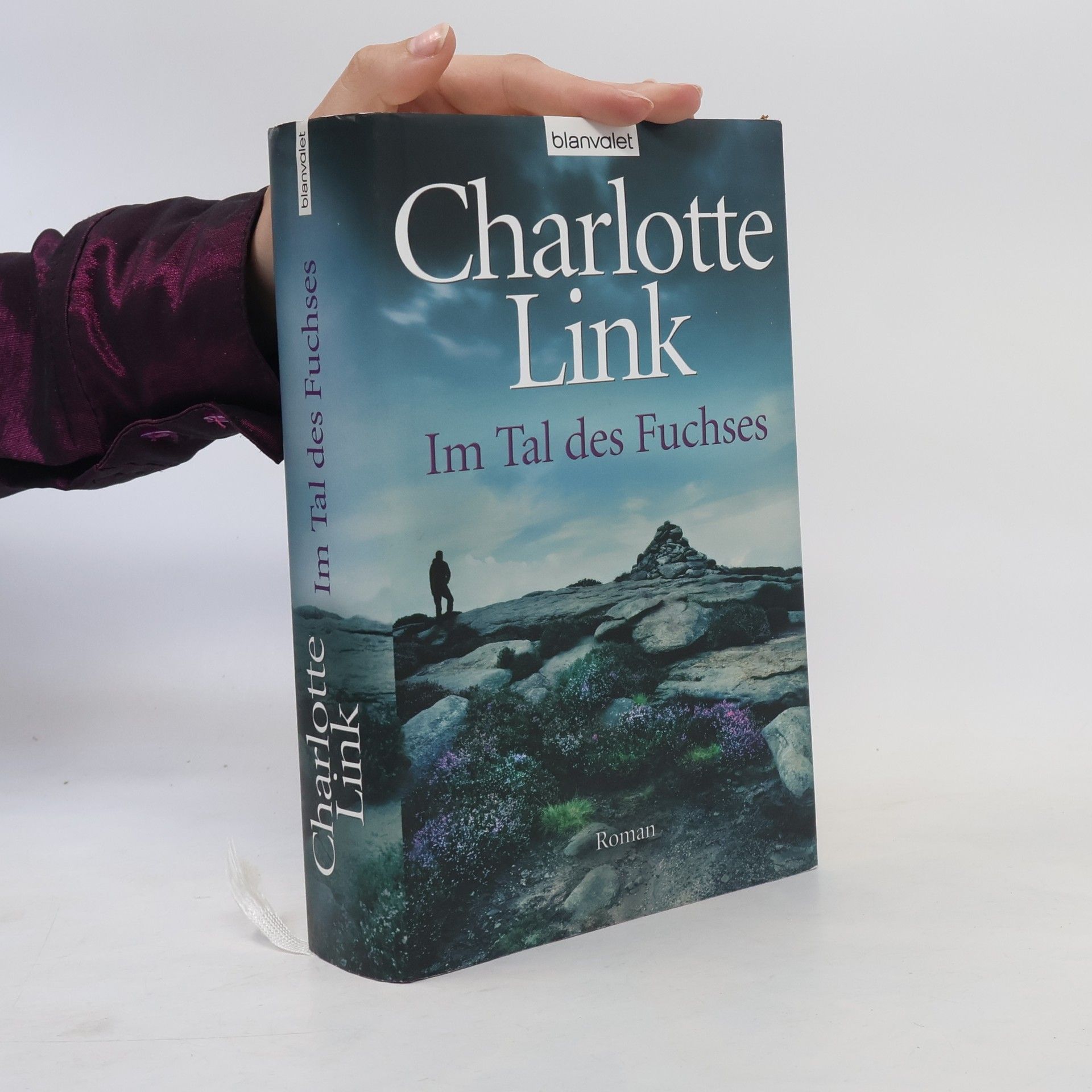 Charlotte Link Im Tal des Fuchses