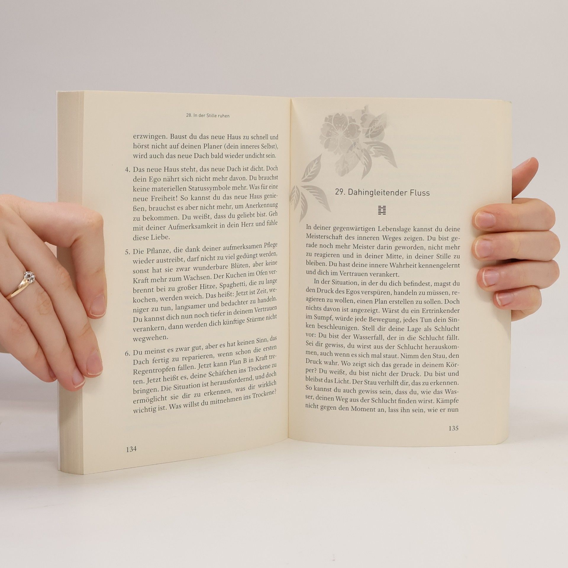 Henrike Blocher Das Buch der Leichtigkeit
