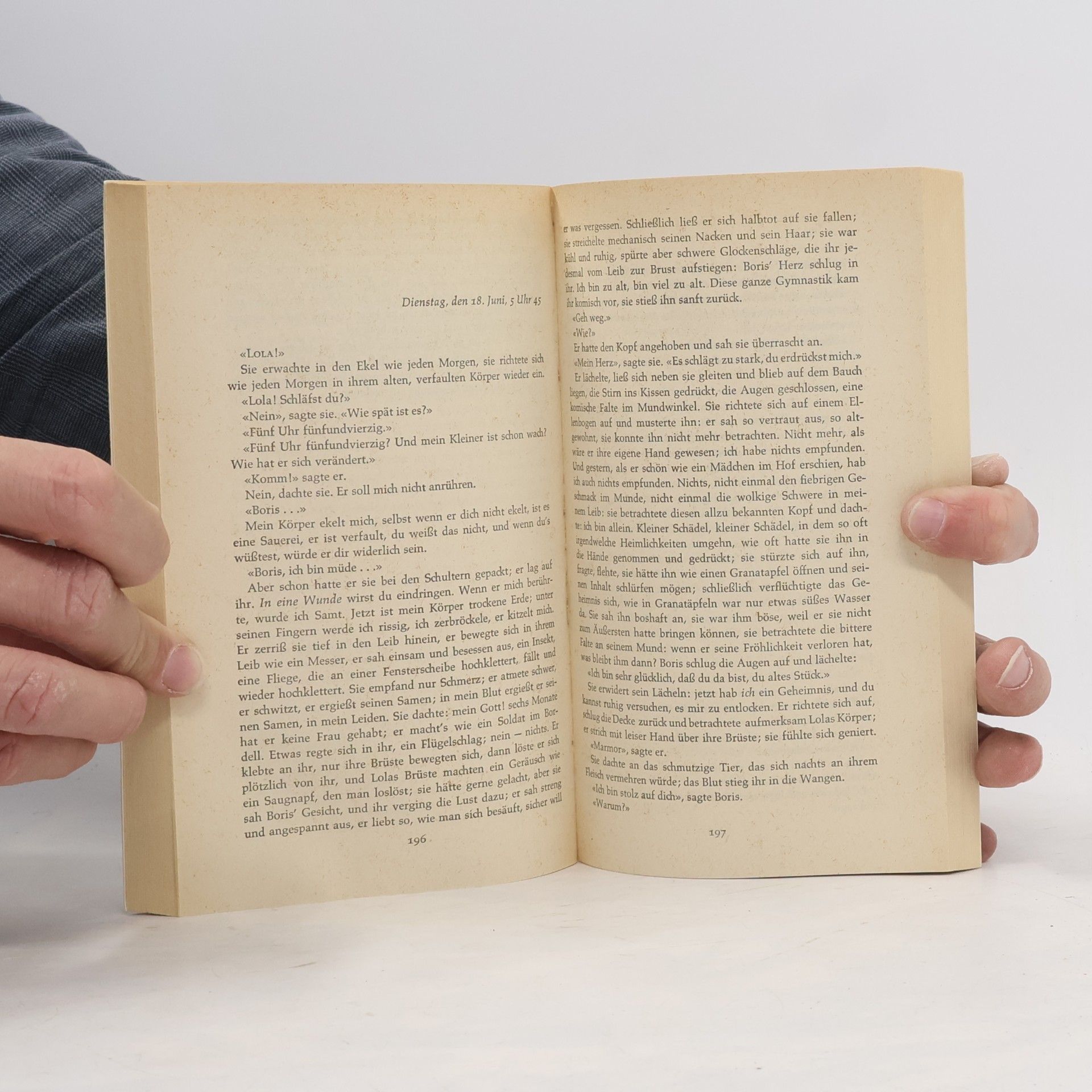 Jean Paul Sartre Der Pfahl im Fleische