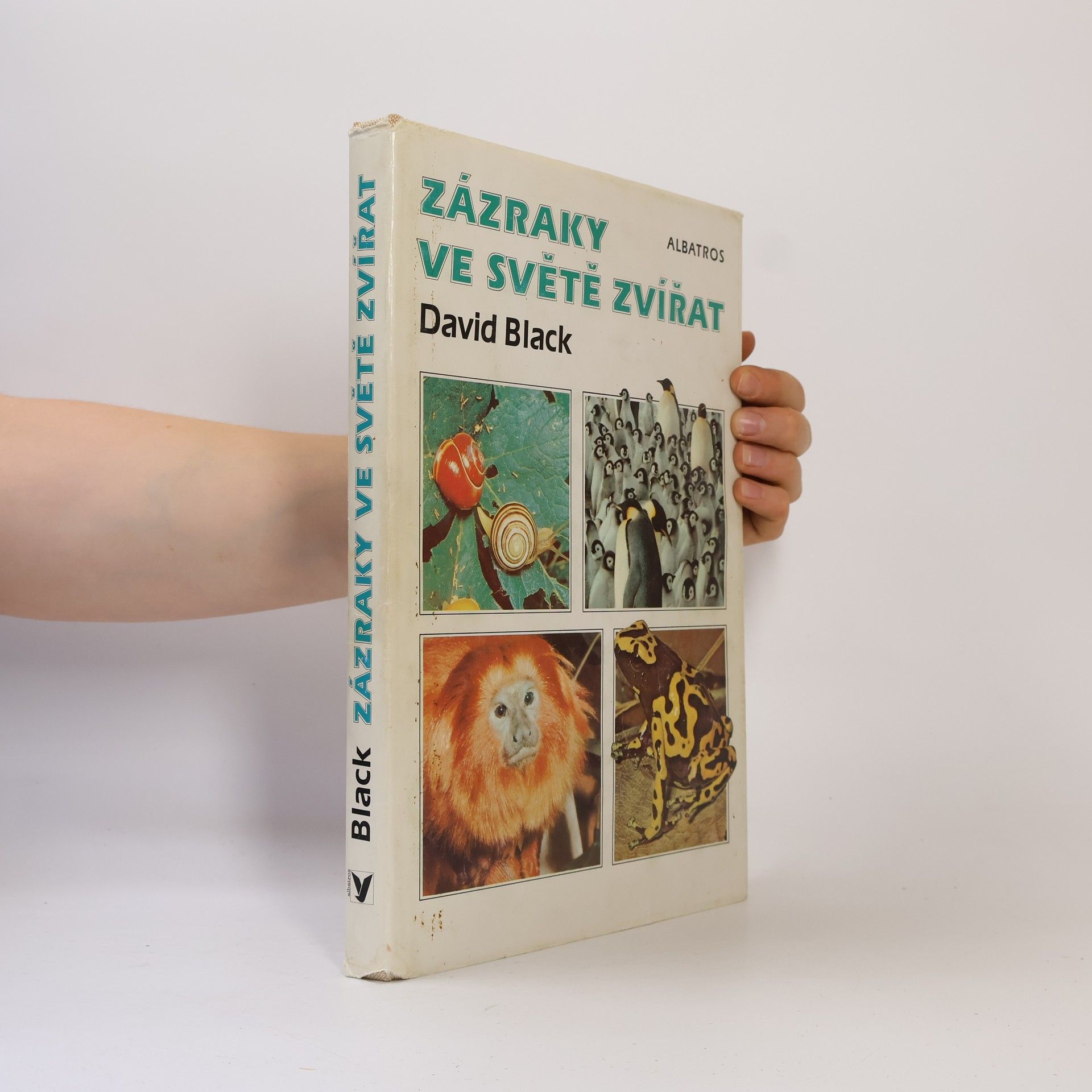 David Black Zázraky ve světě zvířat