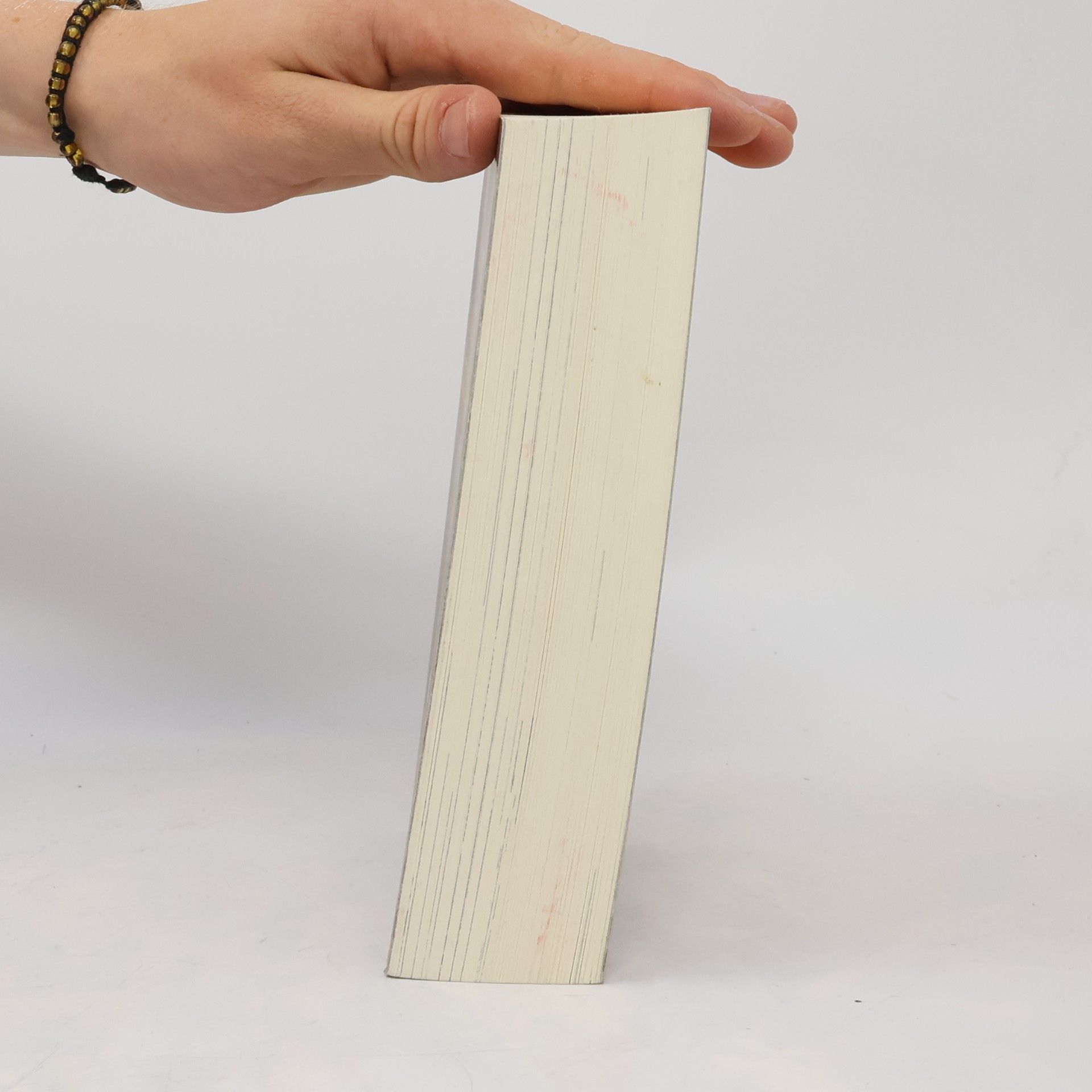 Walter Moers Die Stadt der Träumenden Bücher