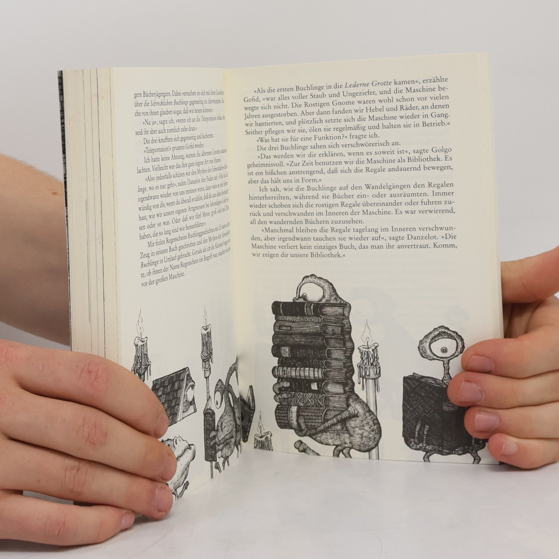 Walter Moers Die Stadt der Träumenden Bücher