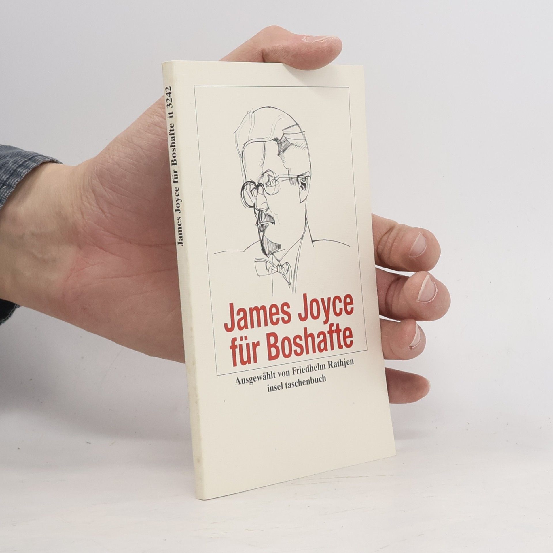 Friedhelm Rathjen Insel Taschenbuch: James Joyce für Boshafte