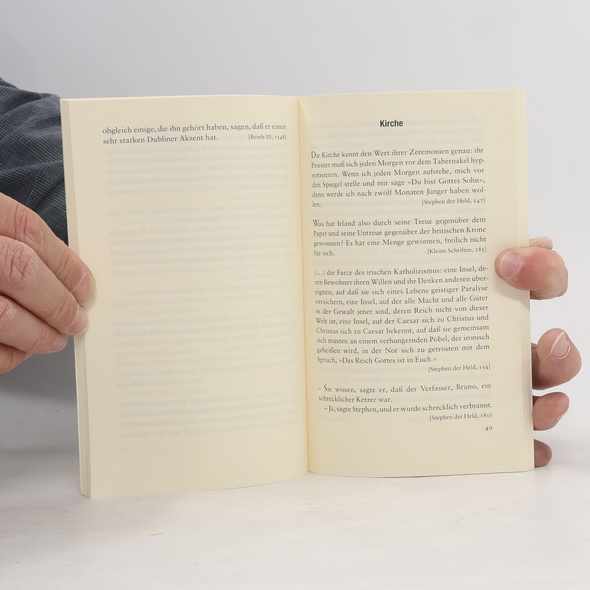 James Joyce Insel Taschenbuch: James Joyce für Boshafte