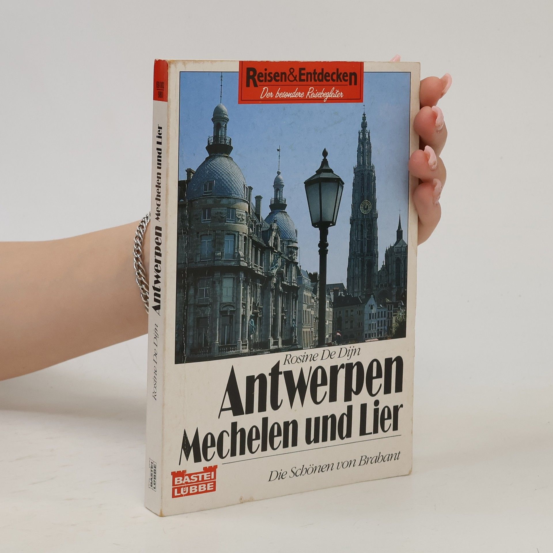 Rosine de Dijn Antwerpen, Mechelen und Lier