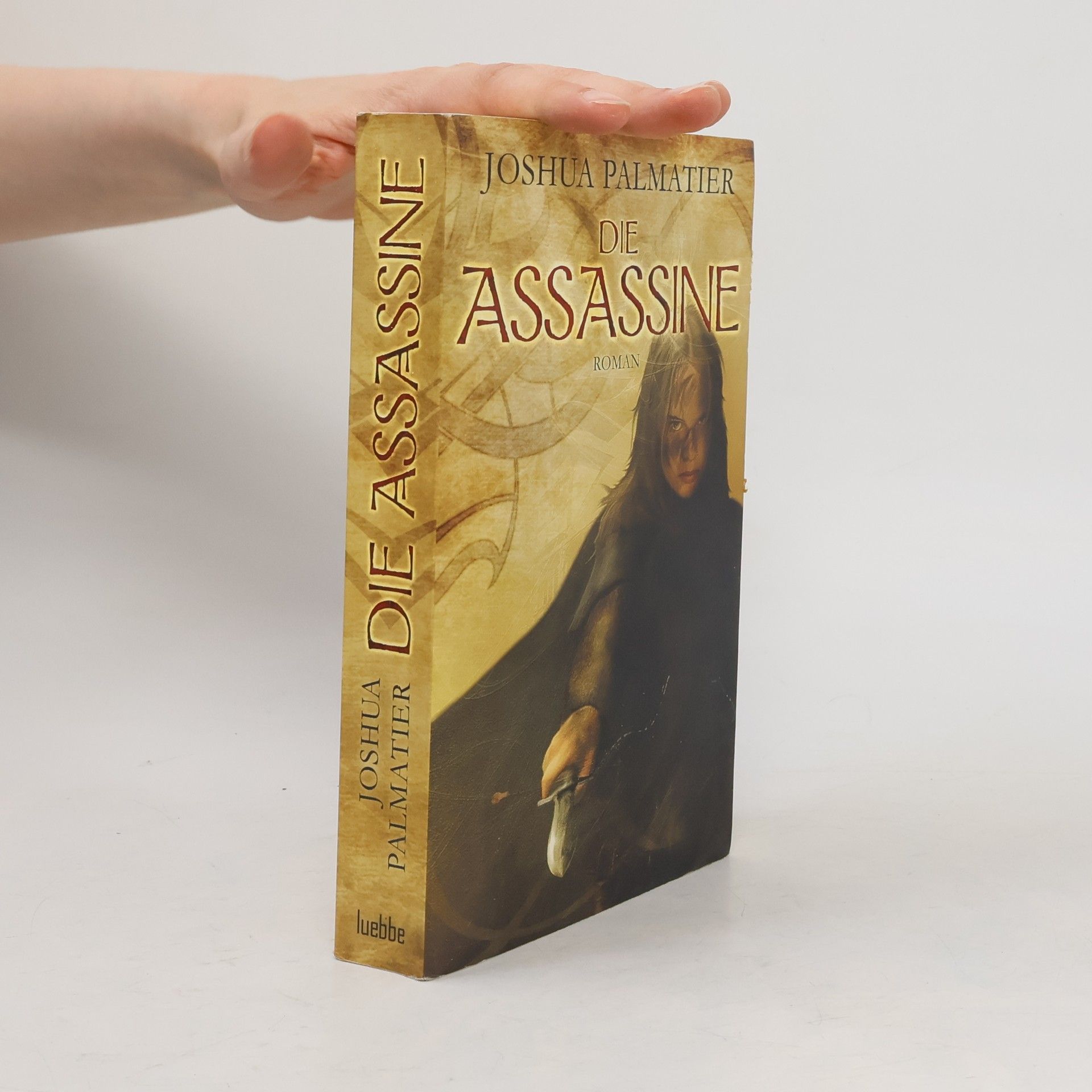 Joshua Palmatier Die Assassine