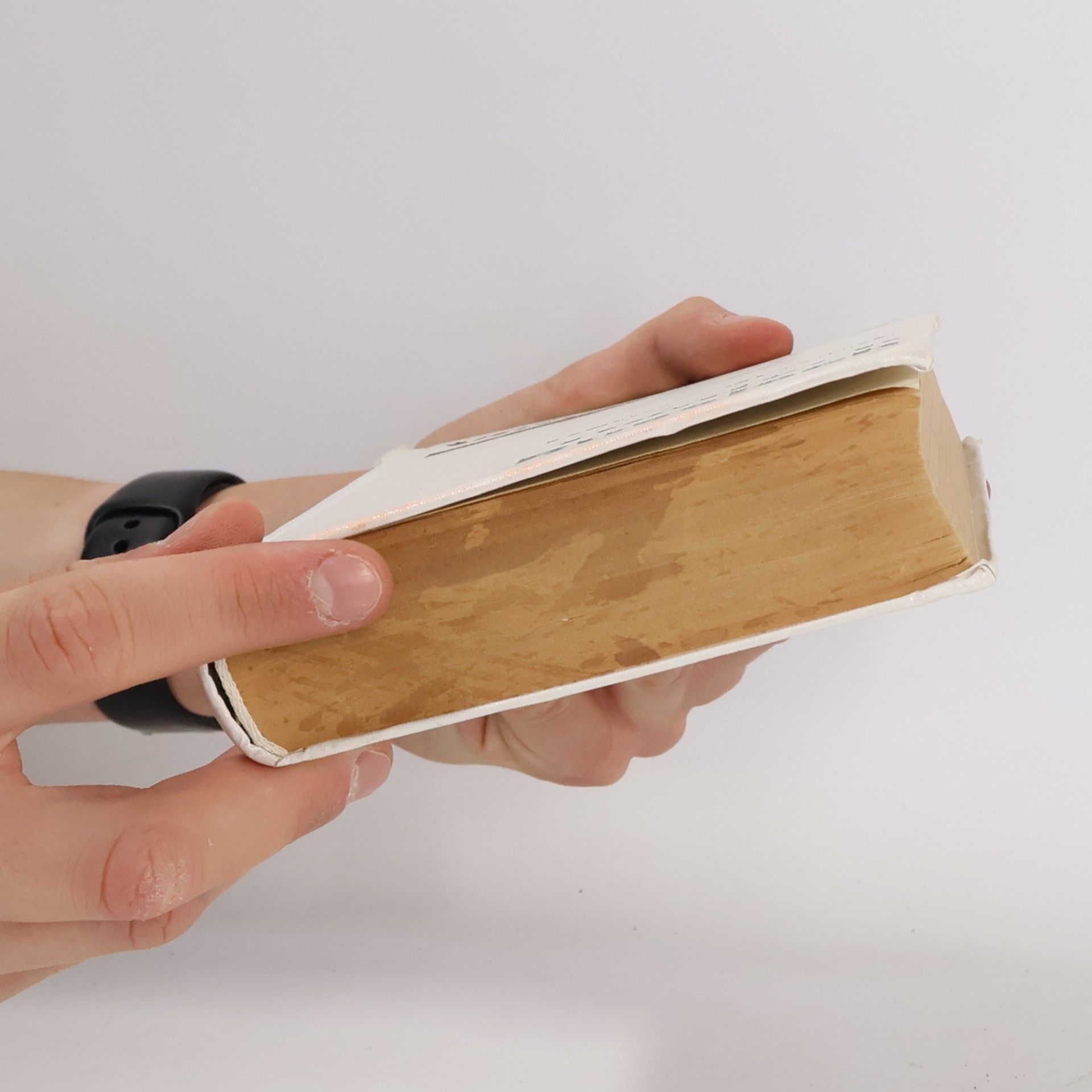 Daum Wörterbuch