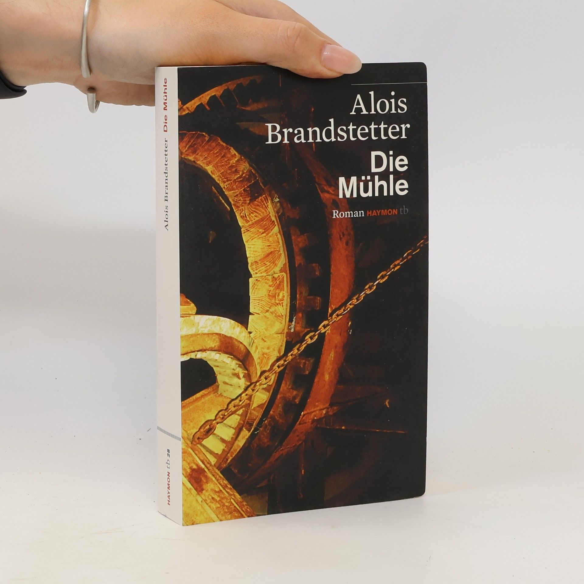 Alois Brandstetter Die Mühle