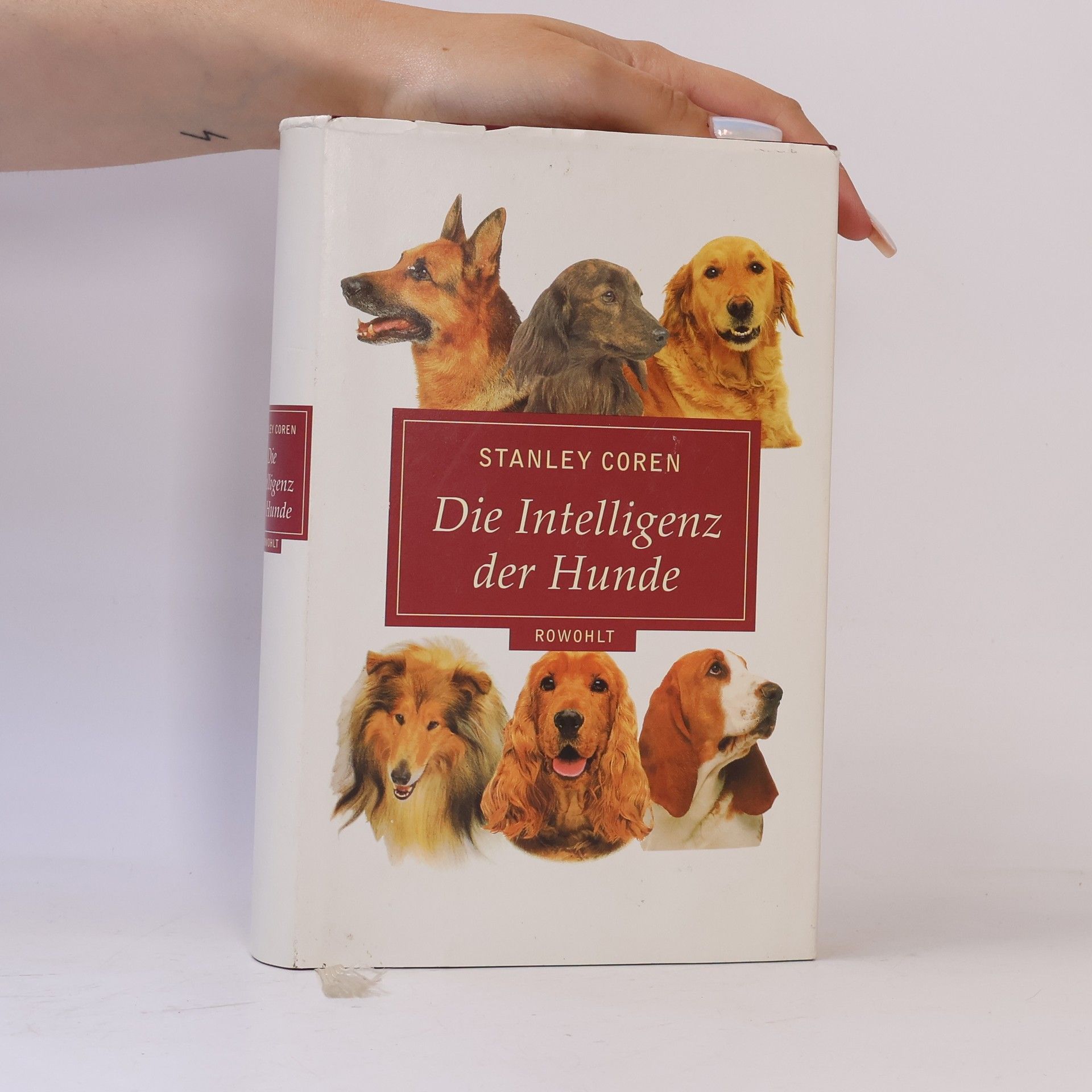 Stanley Coren Die Intelligenz der Hunde