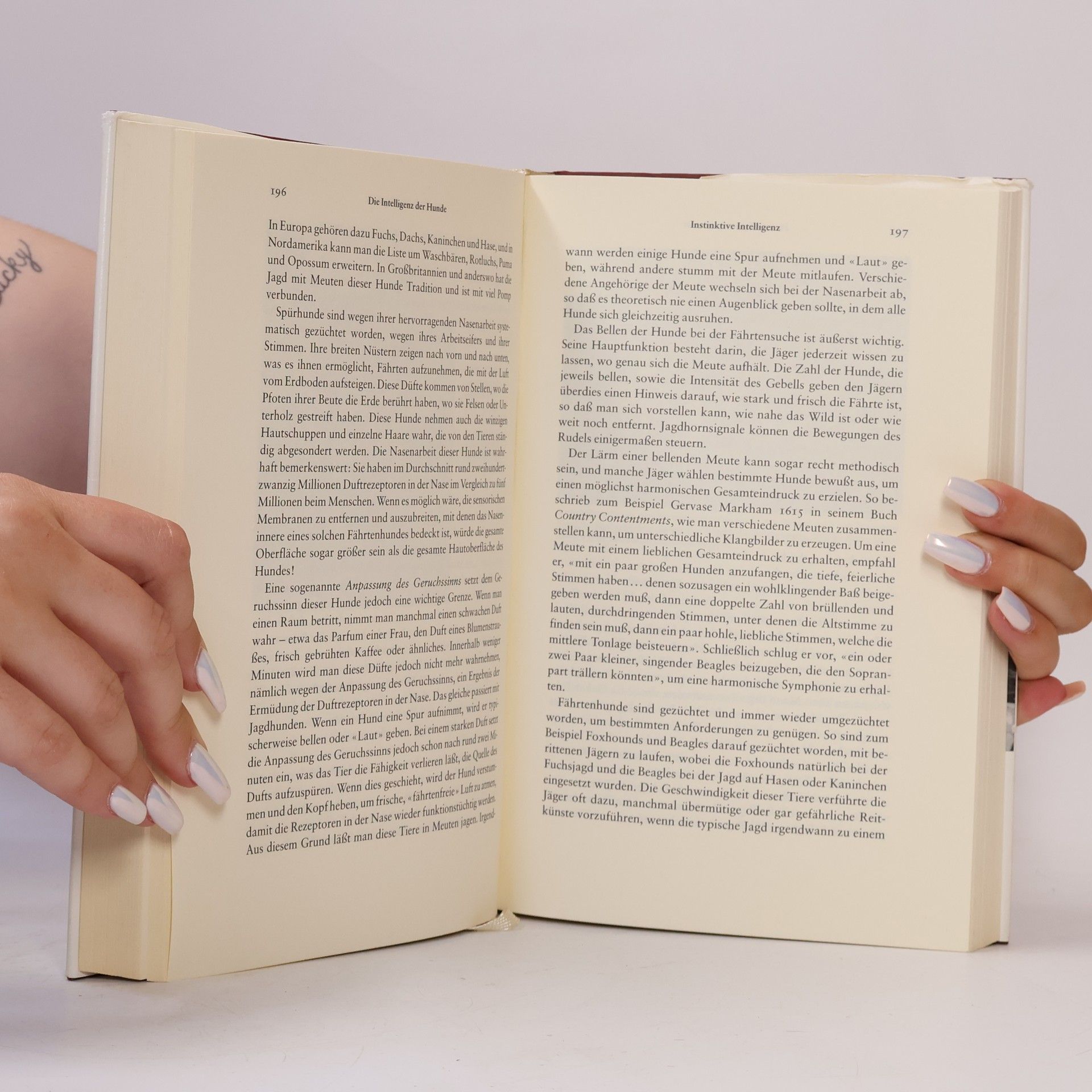 Stanley Coren Die Intelligenz der Hunde