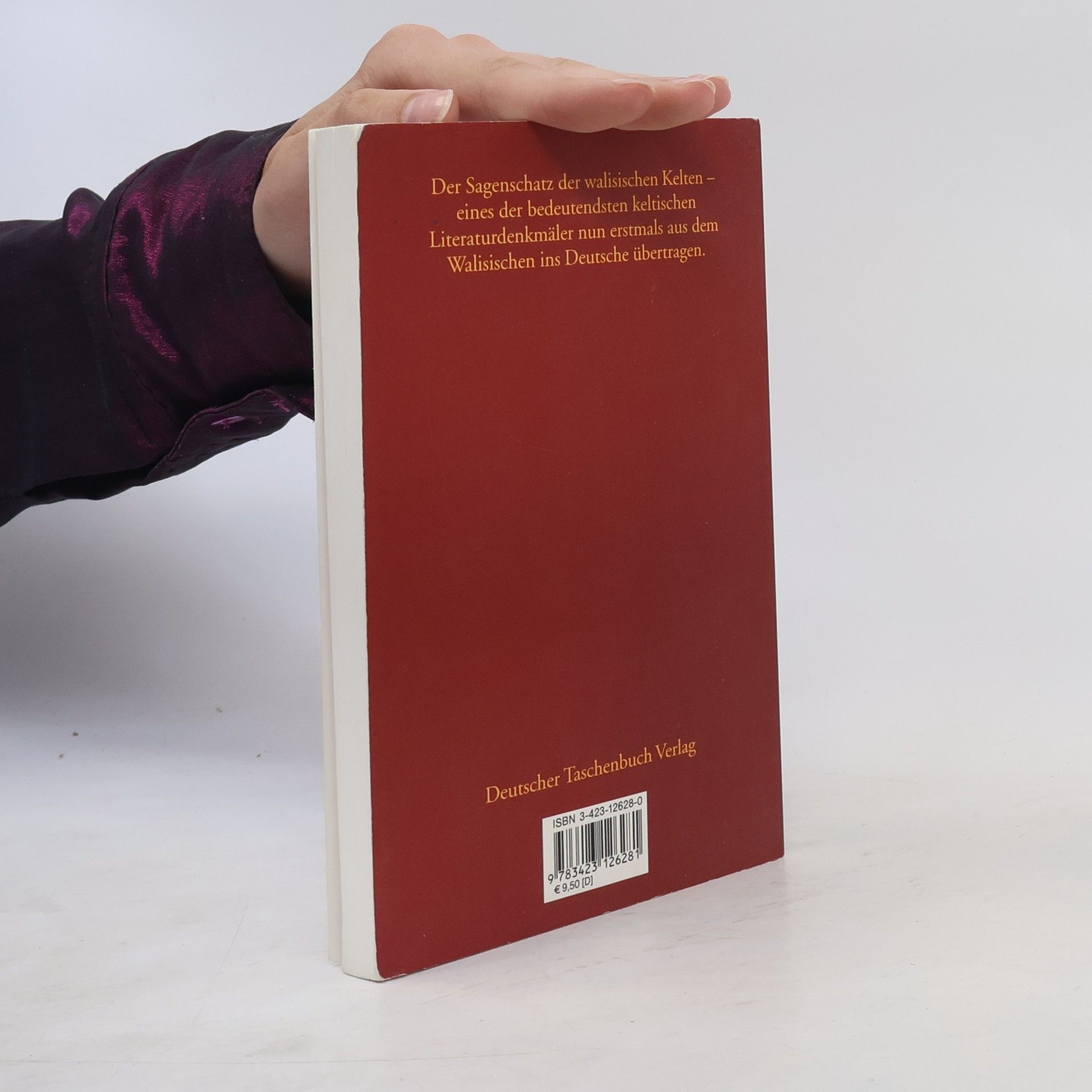 Bernhard Maier Das Sagenbuch der walisischen Kelten