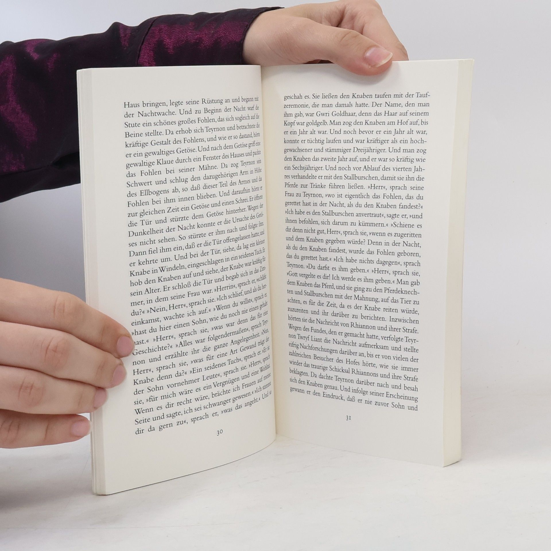 Bernhard Maier Das Sagenbuch der walisischen Kelten