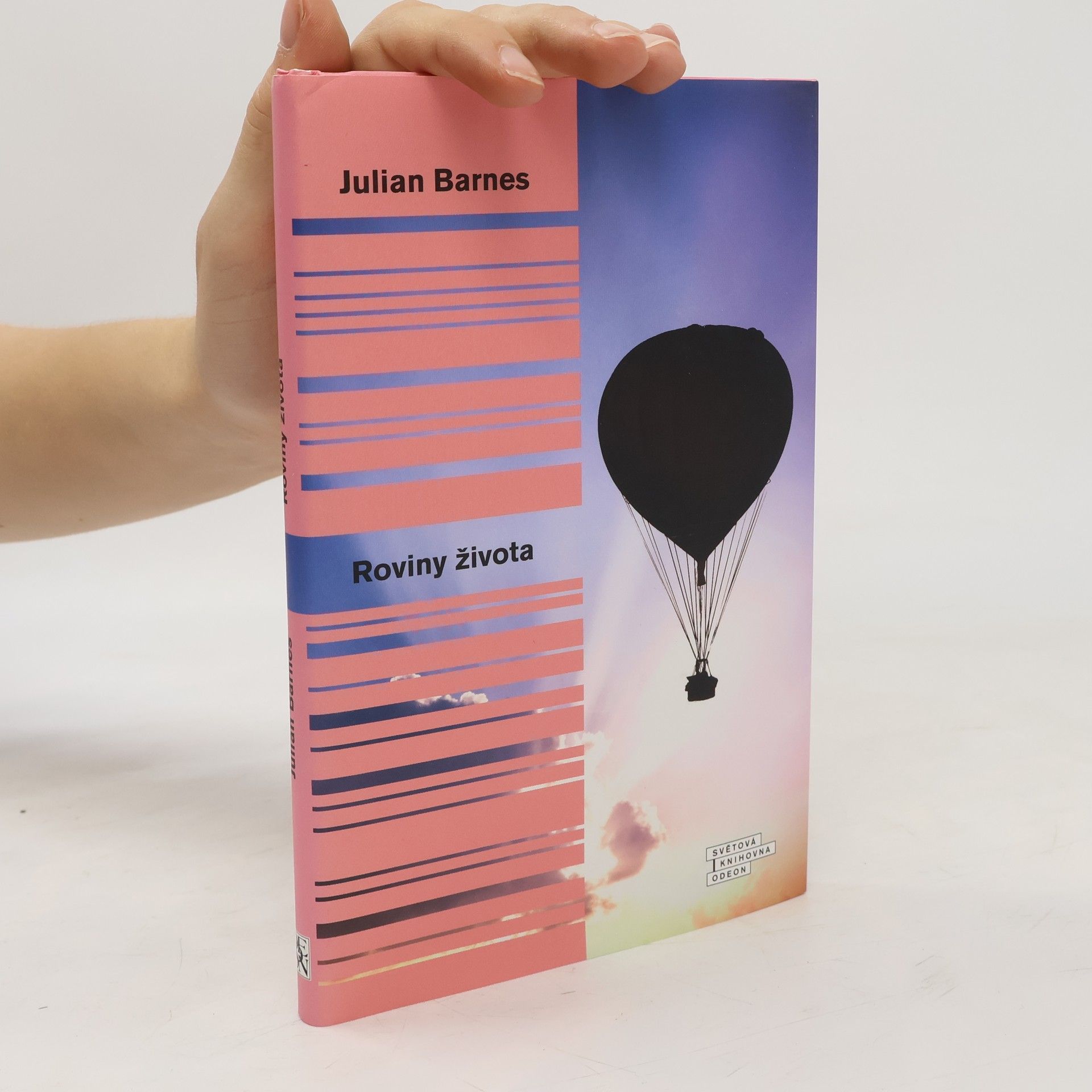 Julian Barnes Roviny života