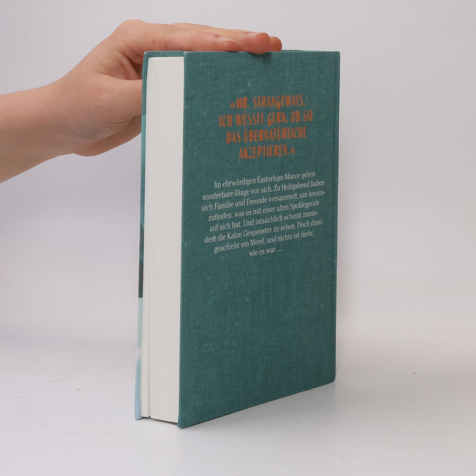 Nicholas Blake Das Geheimnis des Schneemanns