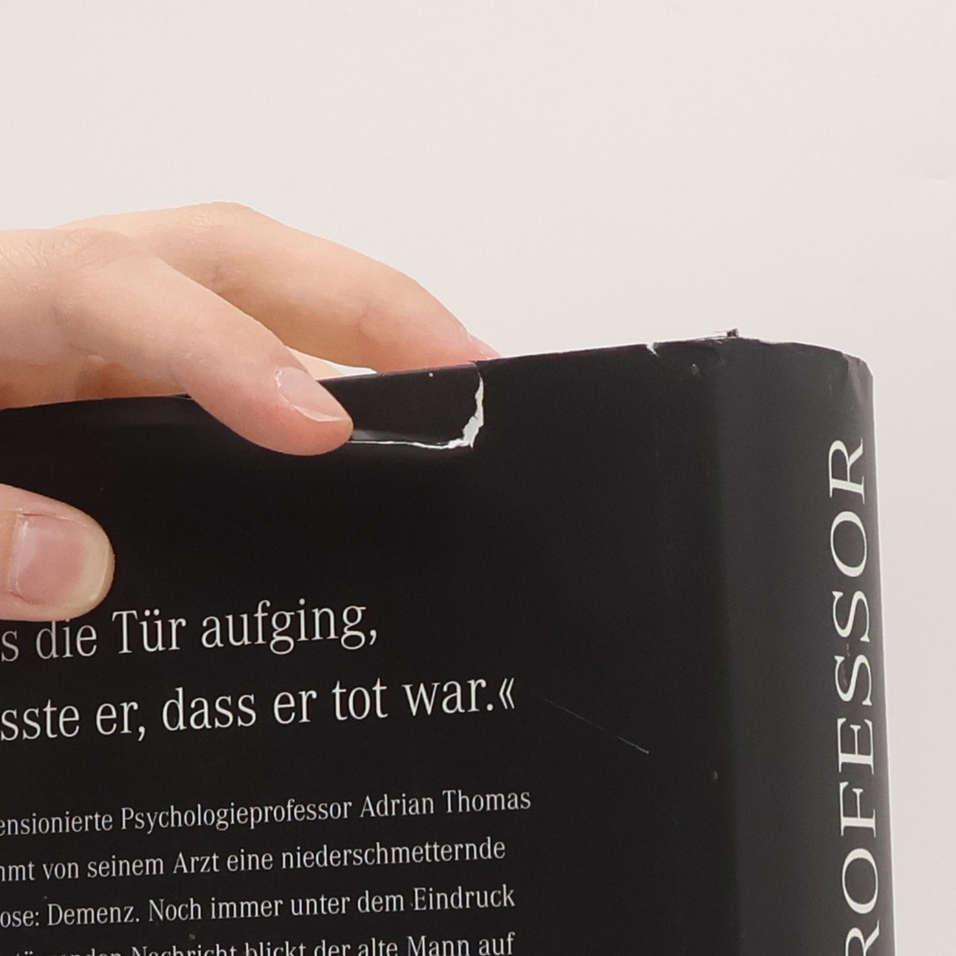 John Katzenbach Der Professor