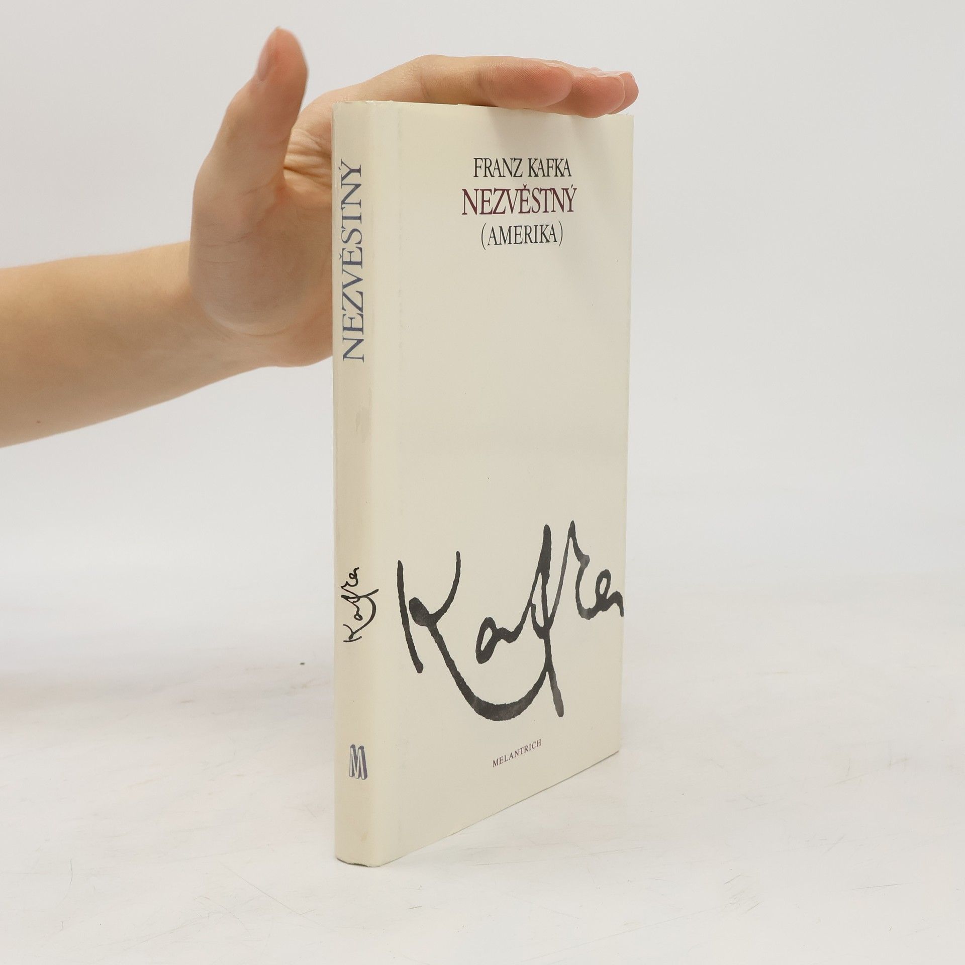 Franz Kafka Nezvěstný (Amerika)