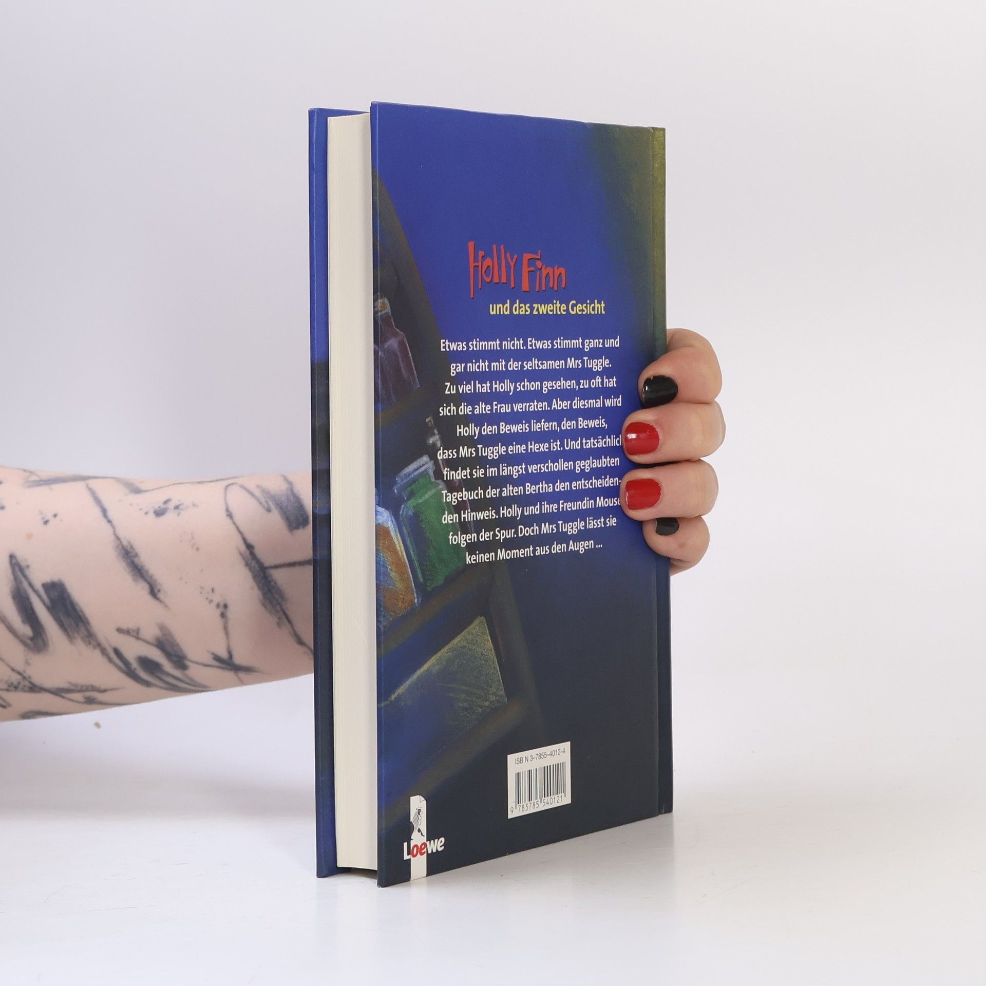 Phyllis Reynolds Naylor Holly Finn und das zweite Gesicht