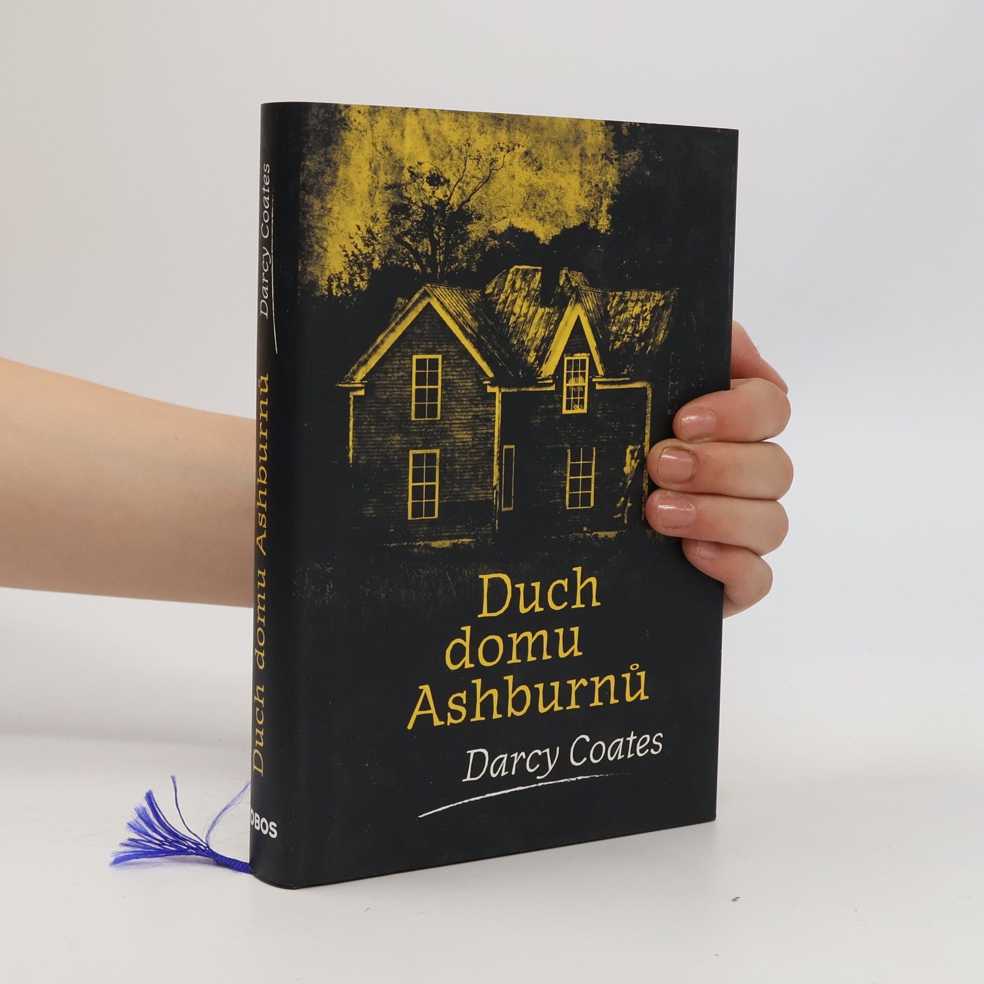 Darcy Coates Duch domu Ashburnů