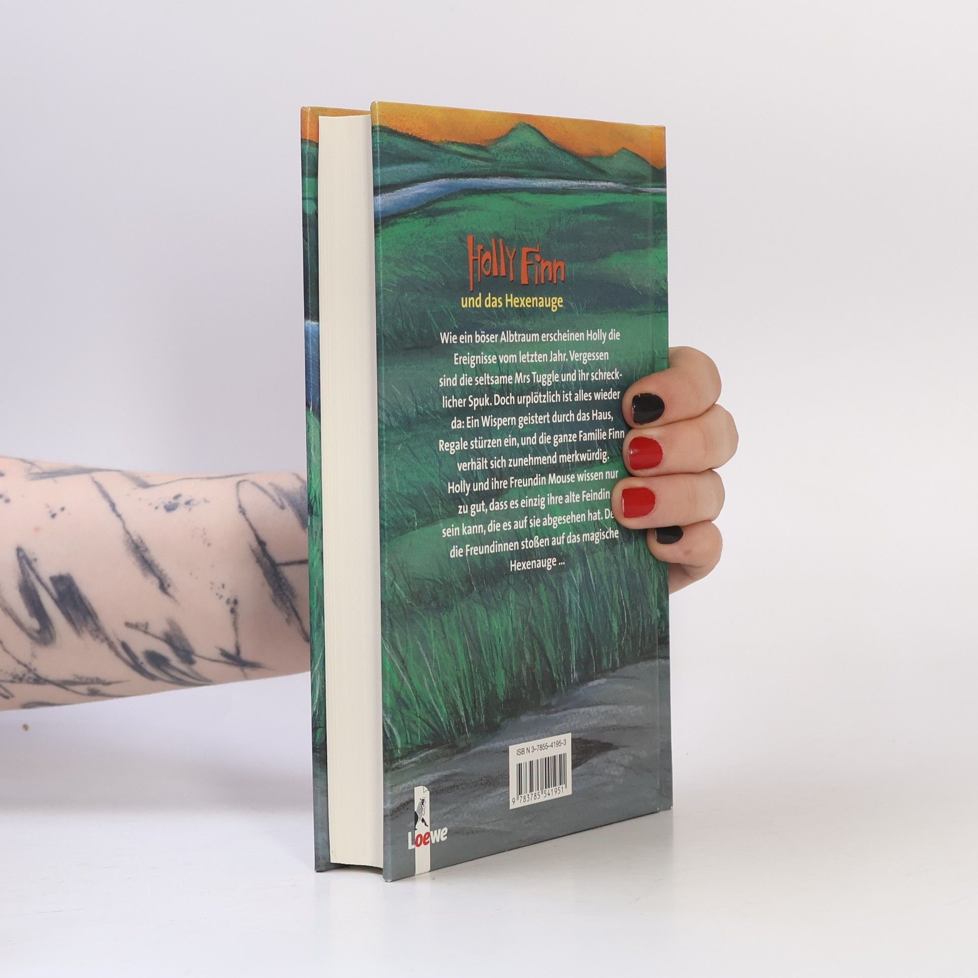 Phyllis Reynolds Naylor Holly Finn und das Hexenauge