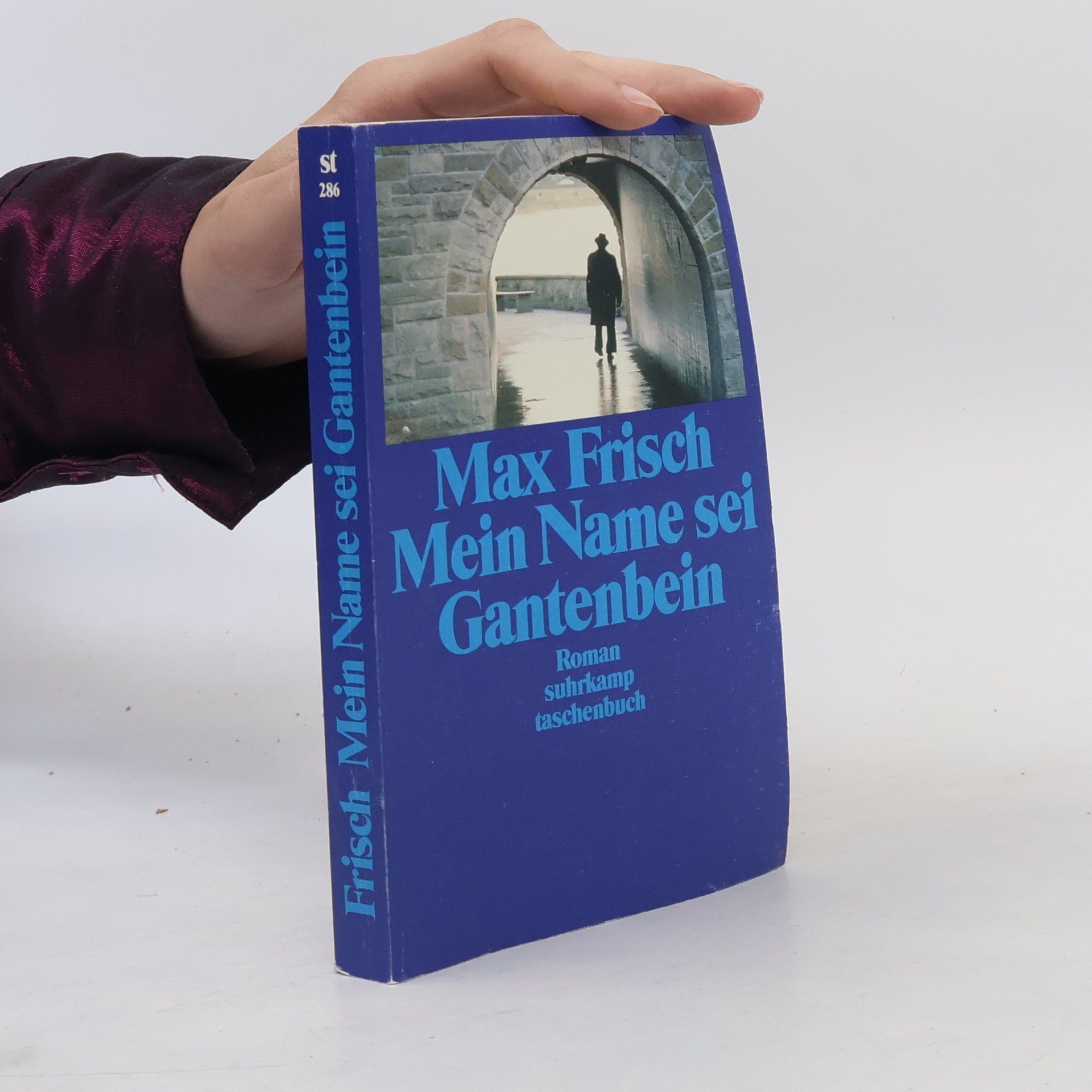 Max Frisch Mein Name sei Gantenbein