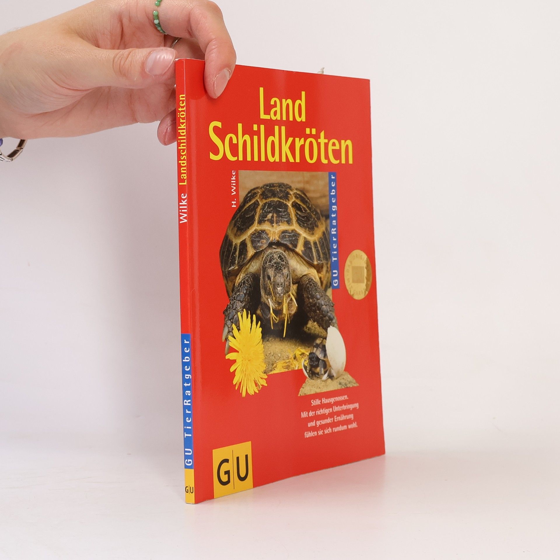 Hartmut Wilke Landschildkröten