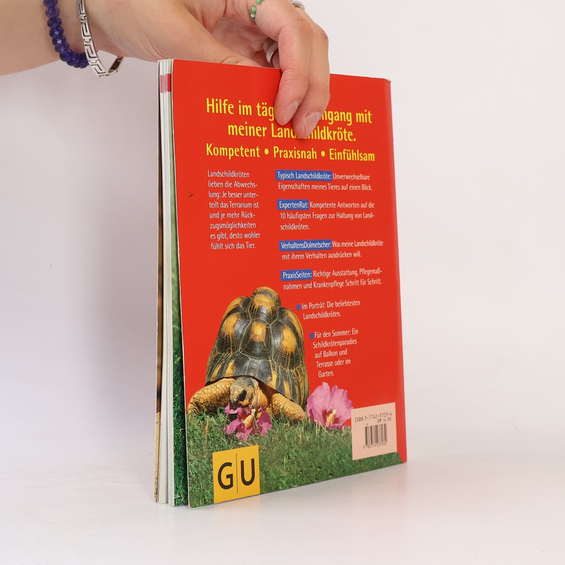 Hartmut Wilke Landschildkröten