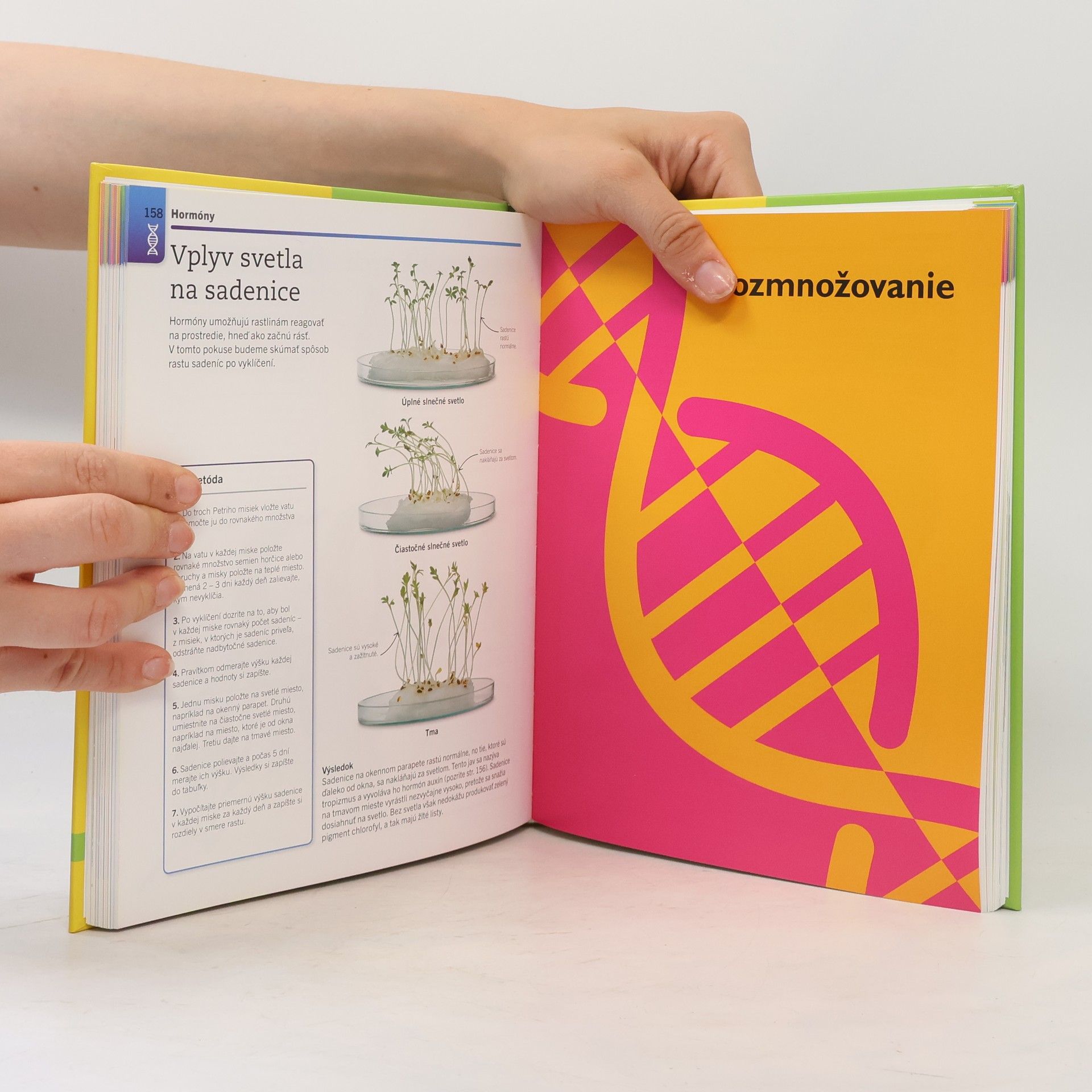 Autorenkollektiv Superjednoduchá biológia