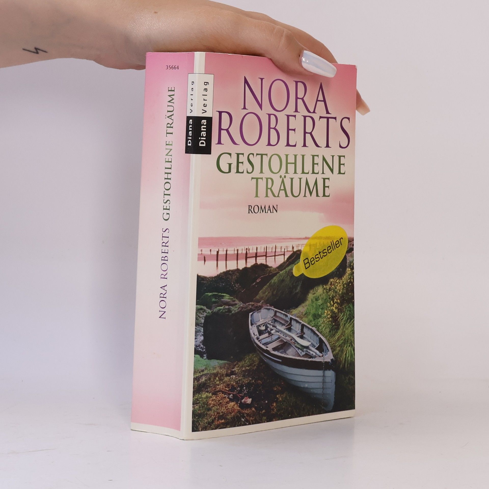 Nora Roberts Gestohlene Träume